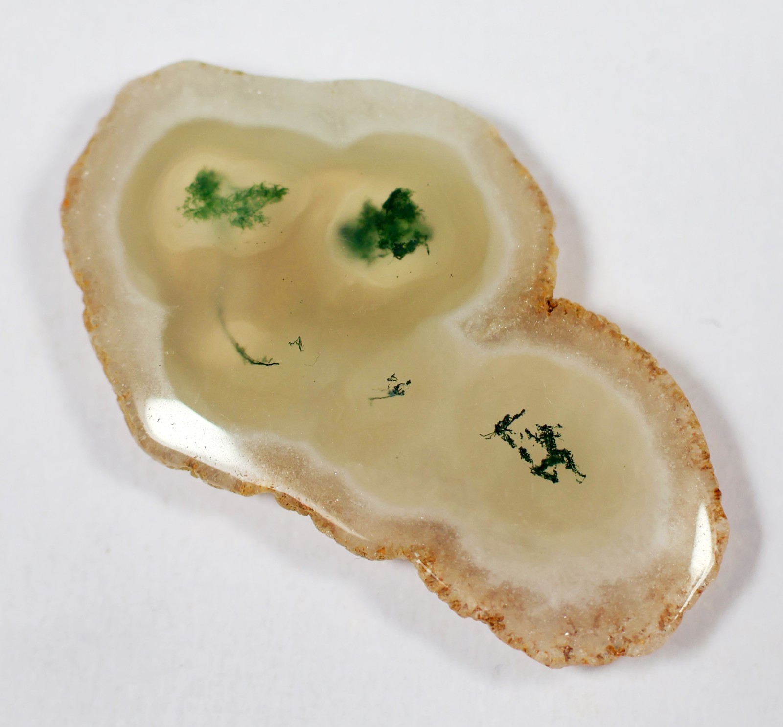 25 Ct 5X19X33 mm Top Natural Green Moss Agate Solar Polish Slice Gemstone KP-196