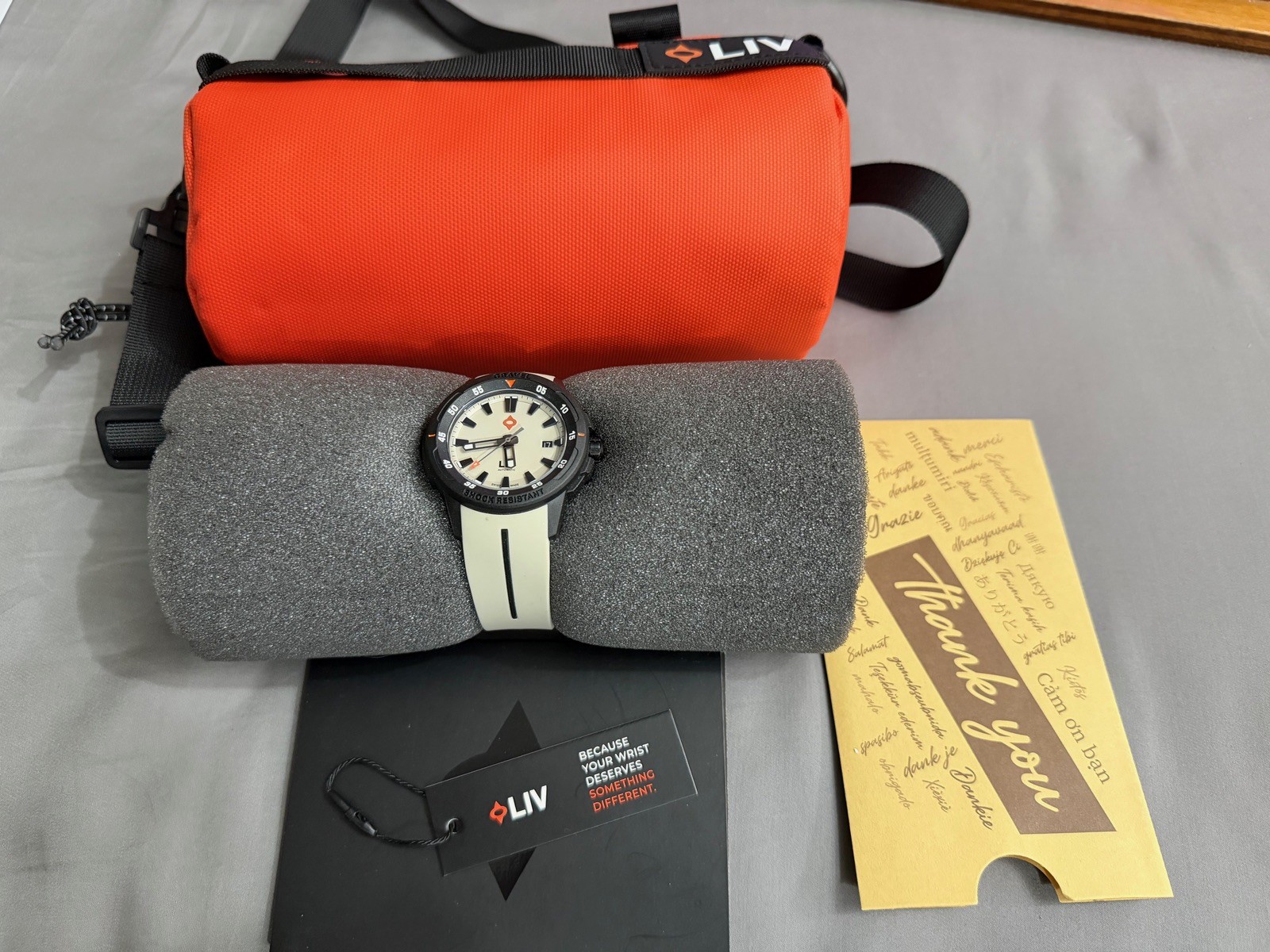 LIV Gravel – Cactus Grey Mens Automatic Watch – Complete Set MINT