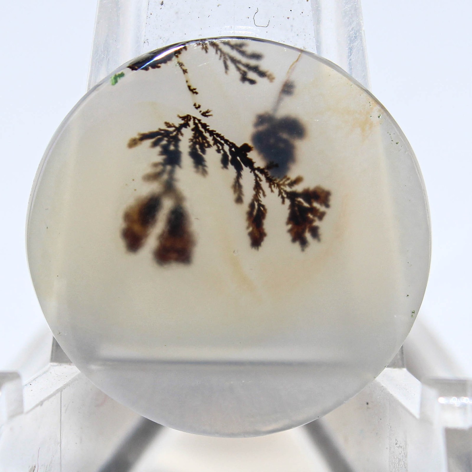 7.60 Ct. Natural Dendritic Quartz Round Cabochon Loose Gemstone 19x19x2 mm