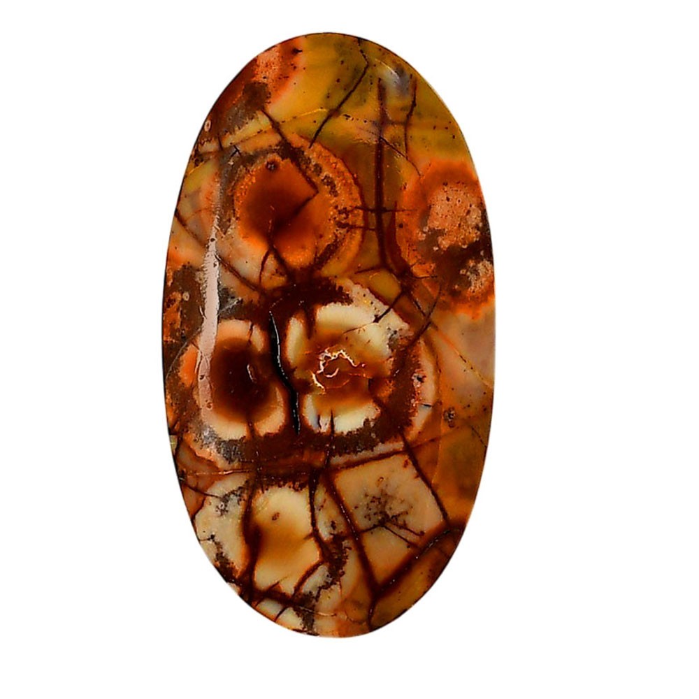 Mexican Bird Eye 22.75×41.2×5.8 mm Oval Shape Polished Gemstone LS92-05742