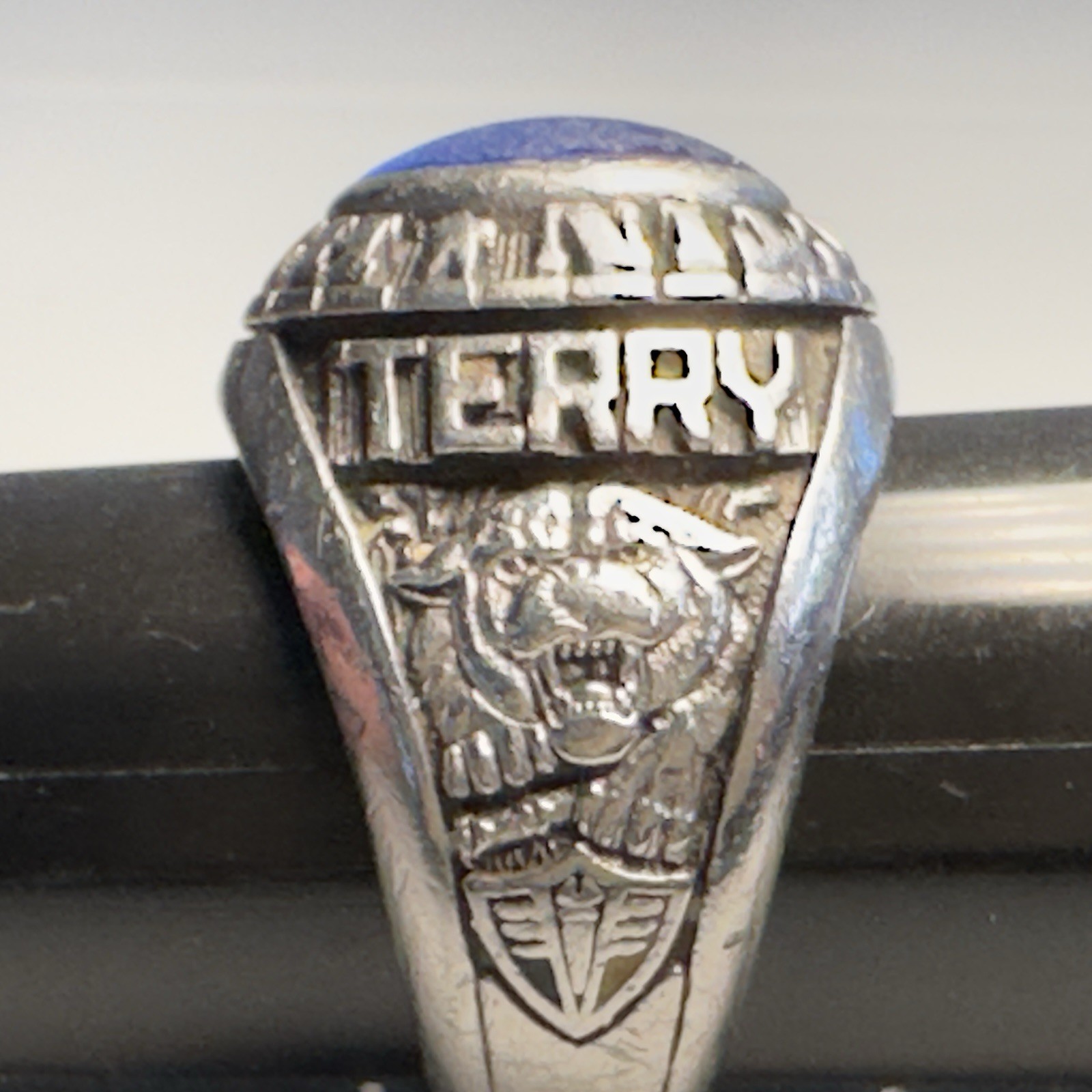 1985 Catoctin High Class Ring Artcarved Siladium Sz 10.5 Agriculture Terry FLAW
