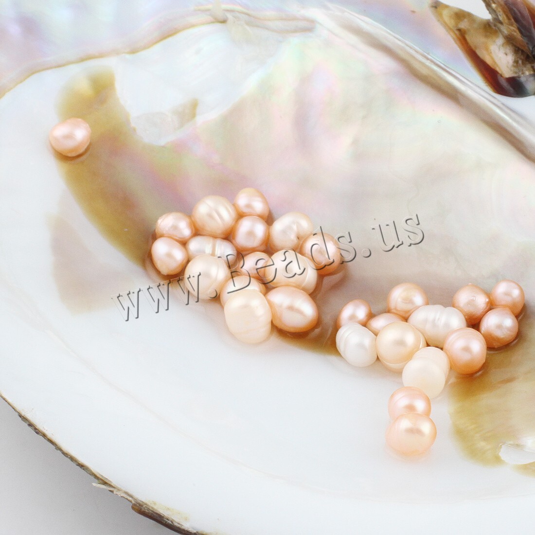 10-50pcs Individually Wrapped Oysters with Pearl Holiday Gift Birthday Wish 8 MM