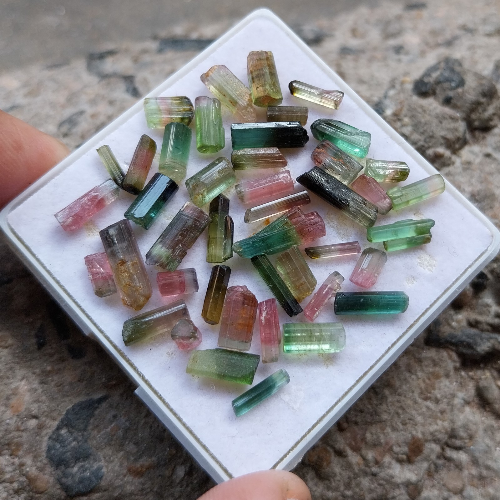 31.8 Ct 5 to 12.5 MM Natural Watermelon Bi Color Tourmaline Stick 43 Piece Lot