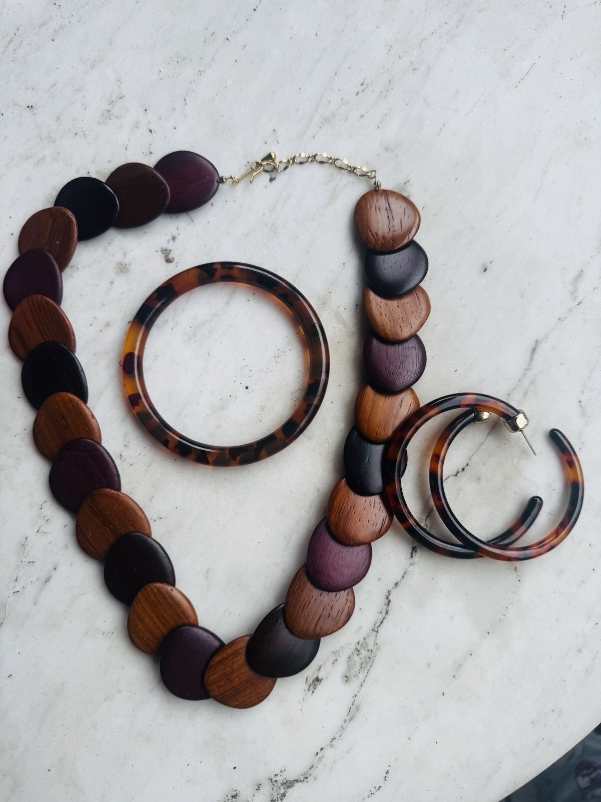 Boho Wood Necklace Set Tortoise Hoop Earrings Bracelet Earth Tone Retro