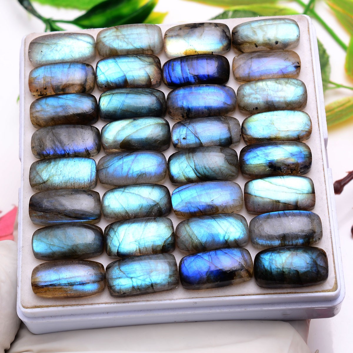 Set Of 12 Pcs Natural Labradorite 19mmx10mm Cushion Cabochon Loose Gemstones Lot