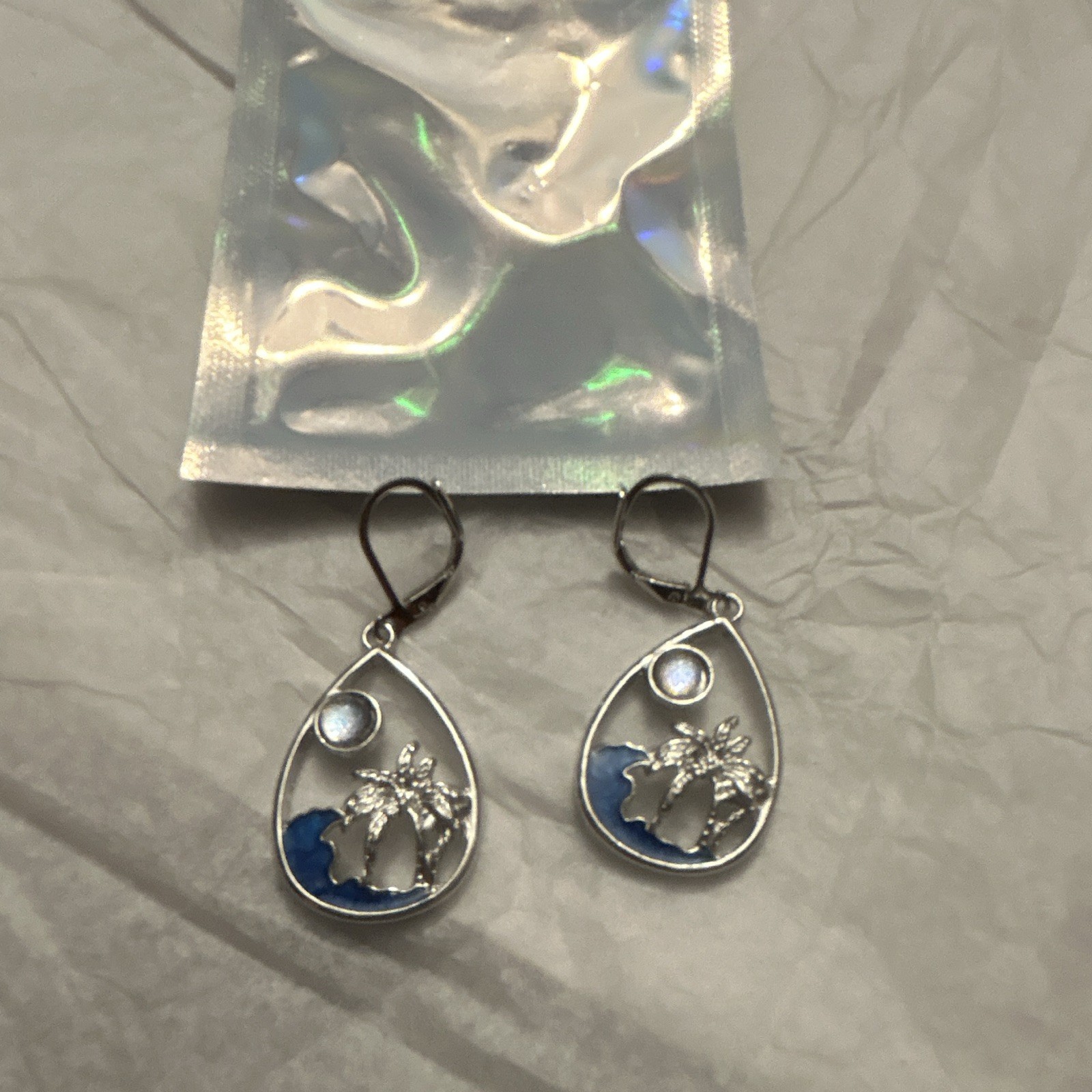 Silver Tone Teardrop Dangle Drop Hook Earrings Blue Accent Nature Theme