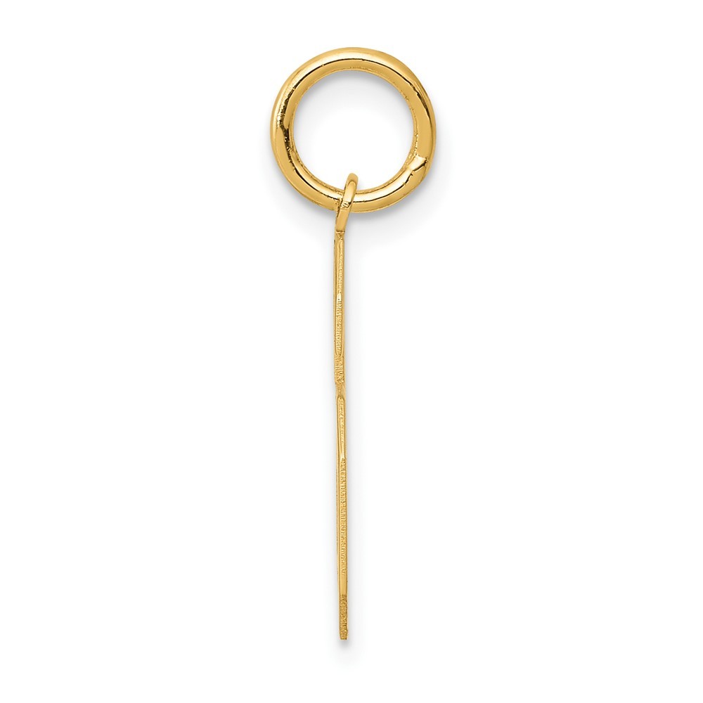 10k Yellow Gold Medium Satin Number 6 Charm Pendant 0.27g