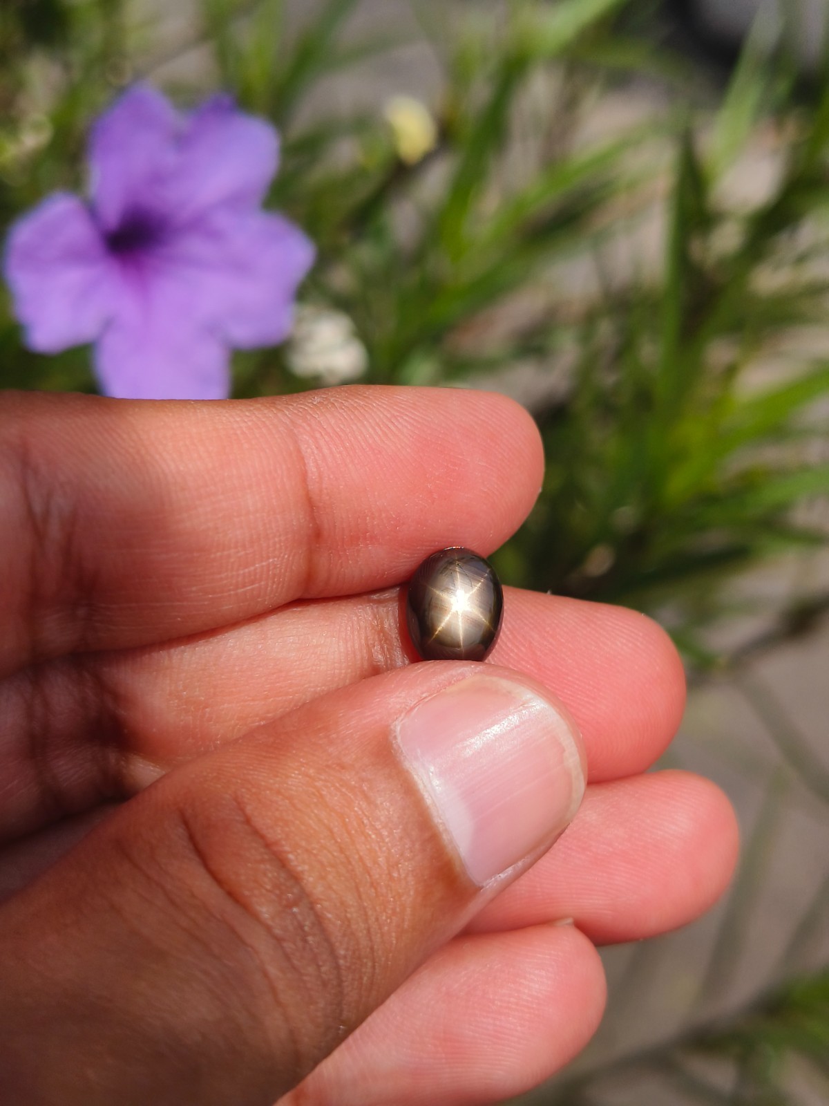 3.48 Cts A BEAUTIFUL NO HEAT BLACK STAR SAPPHIRE OF PERFECT 6 RAYS STAR ✨