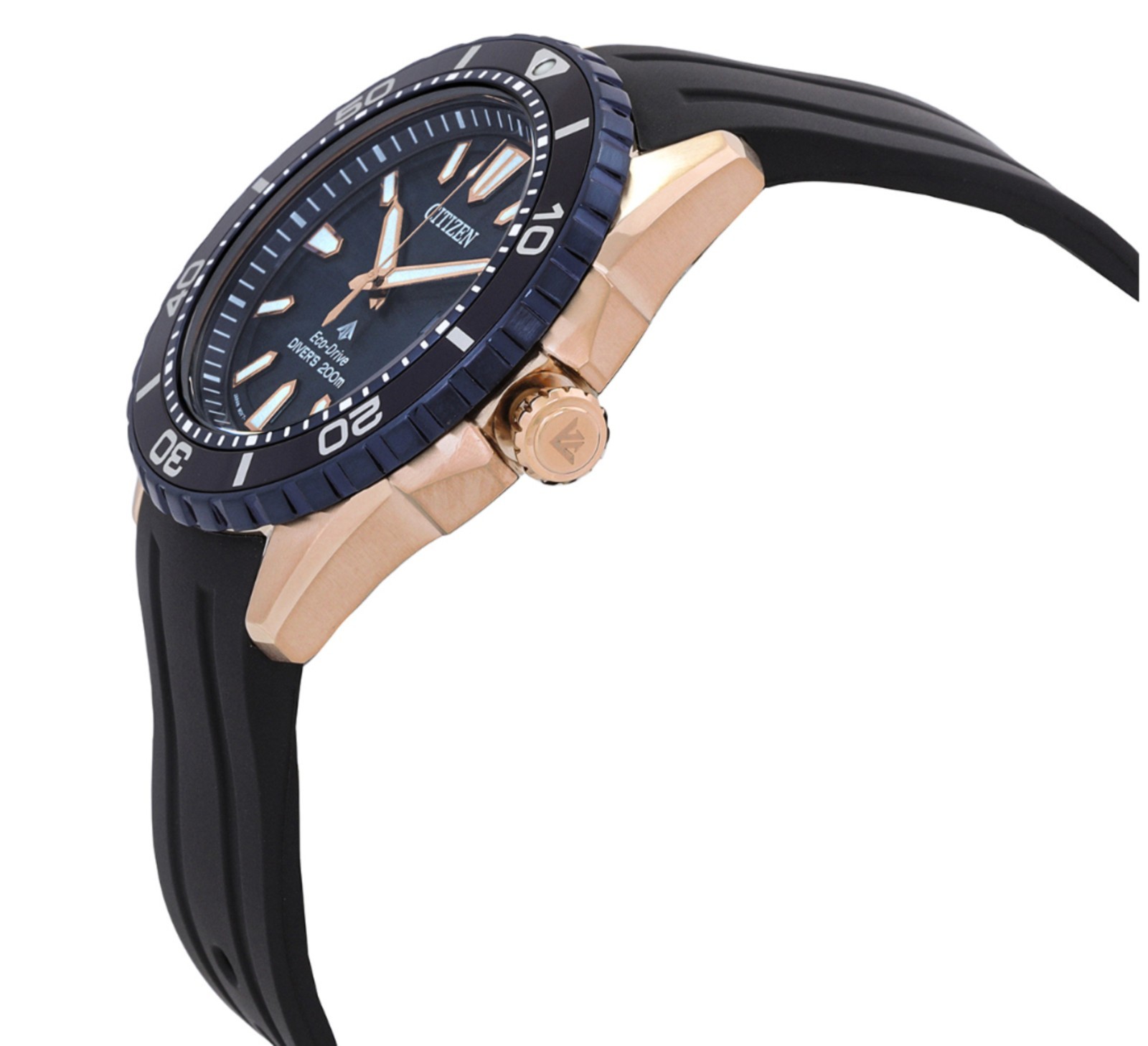 Citizen Men’s Promaster Dive Eco-Drive Blue Dial Watch – BN0196-01L NEW