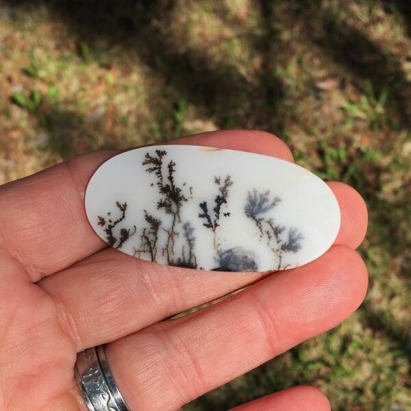 All Natural! Fine Quality Dendritic Agate India GLI