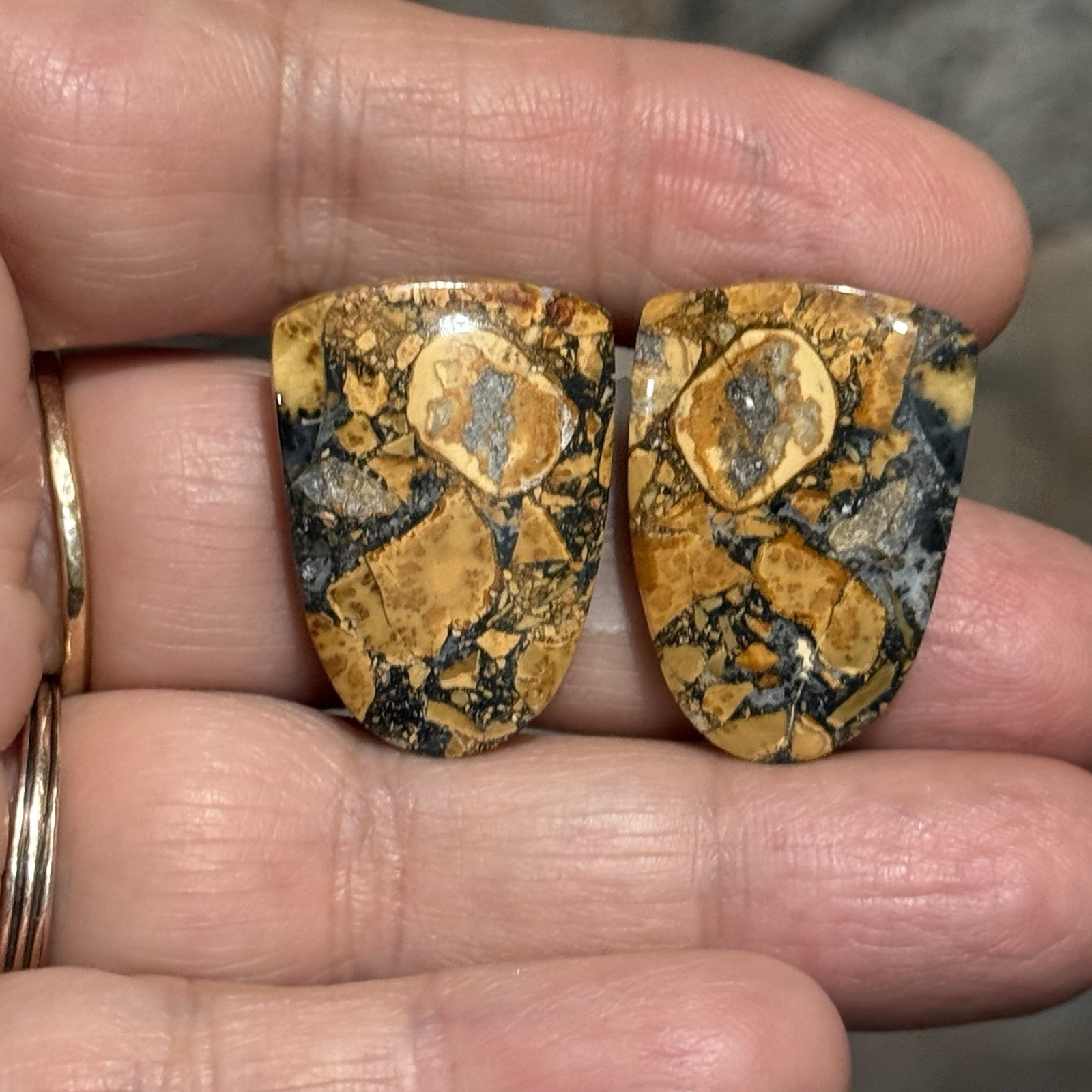 41.6ct 26.5×18.5x4mm Pair Fine Colorful Scenic Picture Maligano Jasper Cabochons