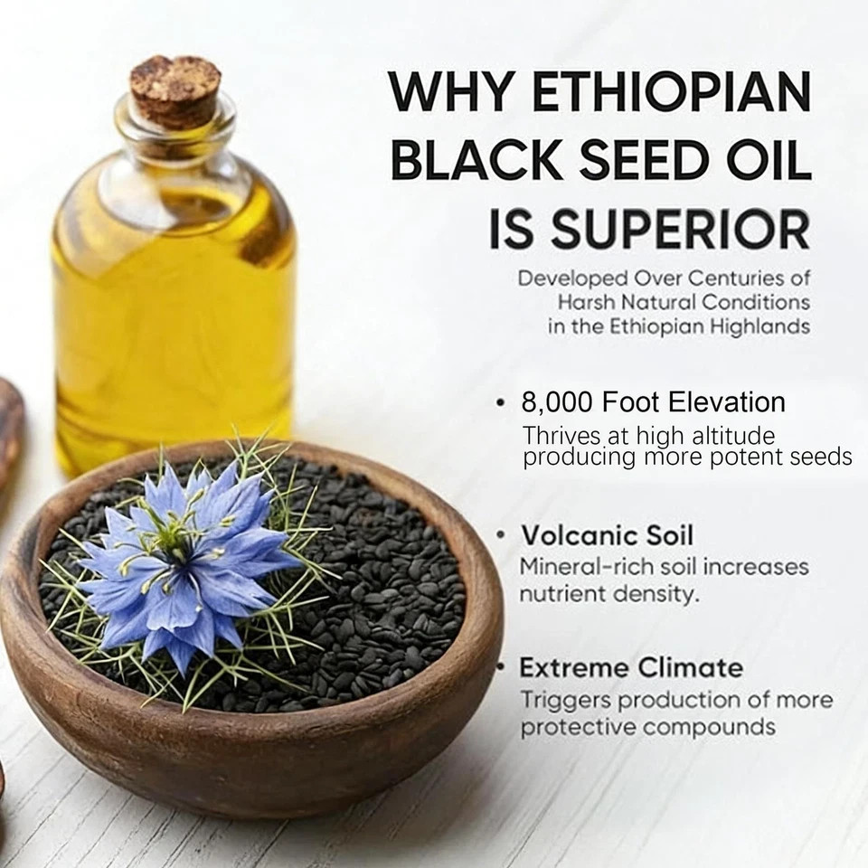 5 PACK Ethiopian Black Seed Oil Softgels 4.64% Thymoquinone Gluten-Free US STOCK