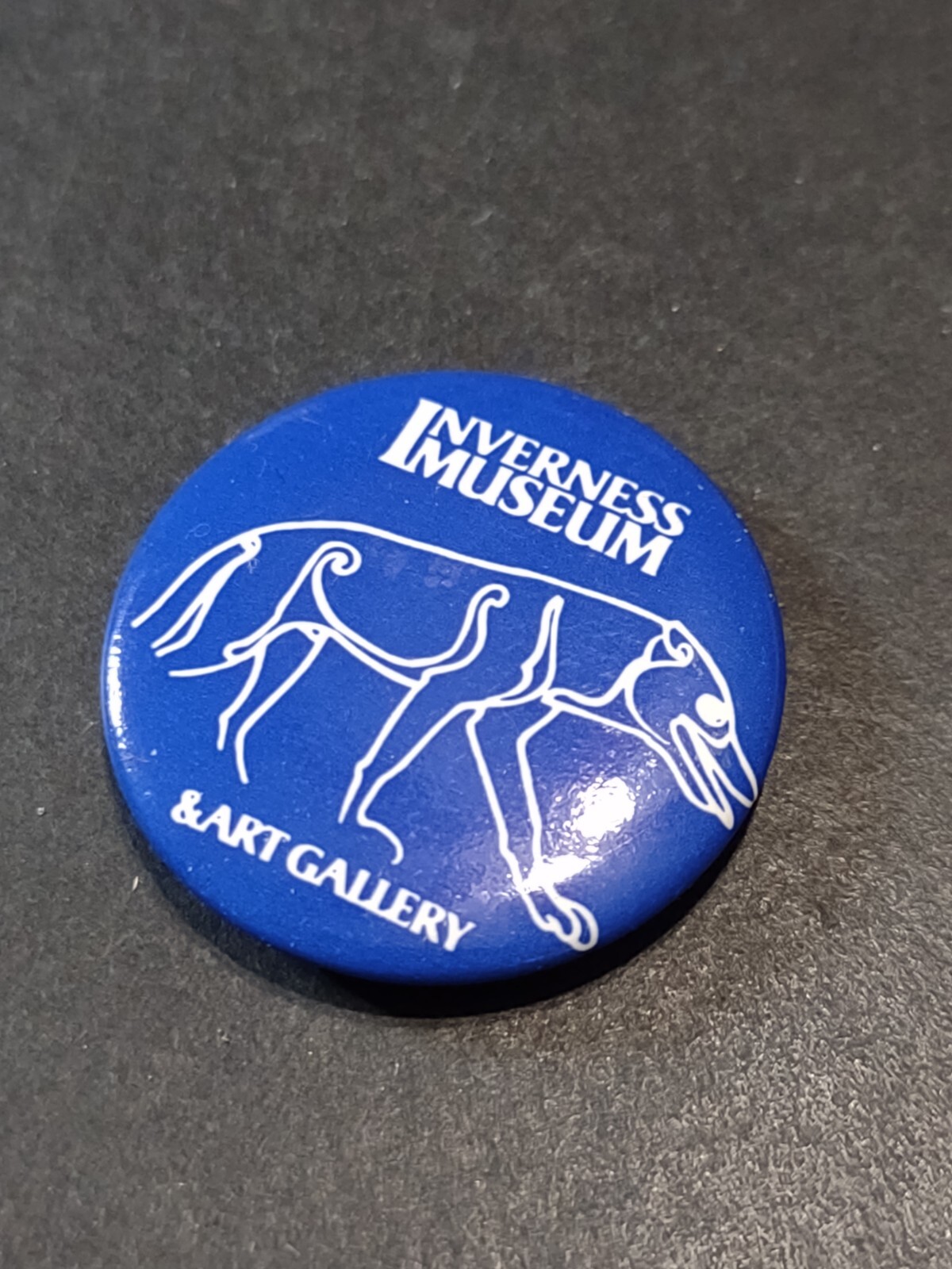 Blue Inverness Museum and Art Gallery Pin