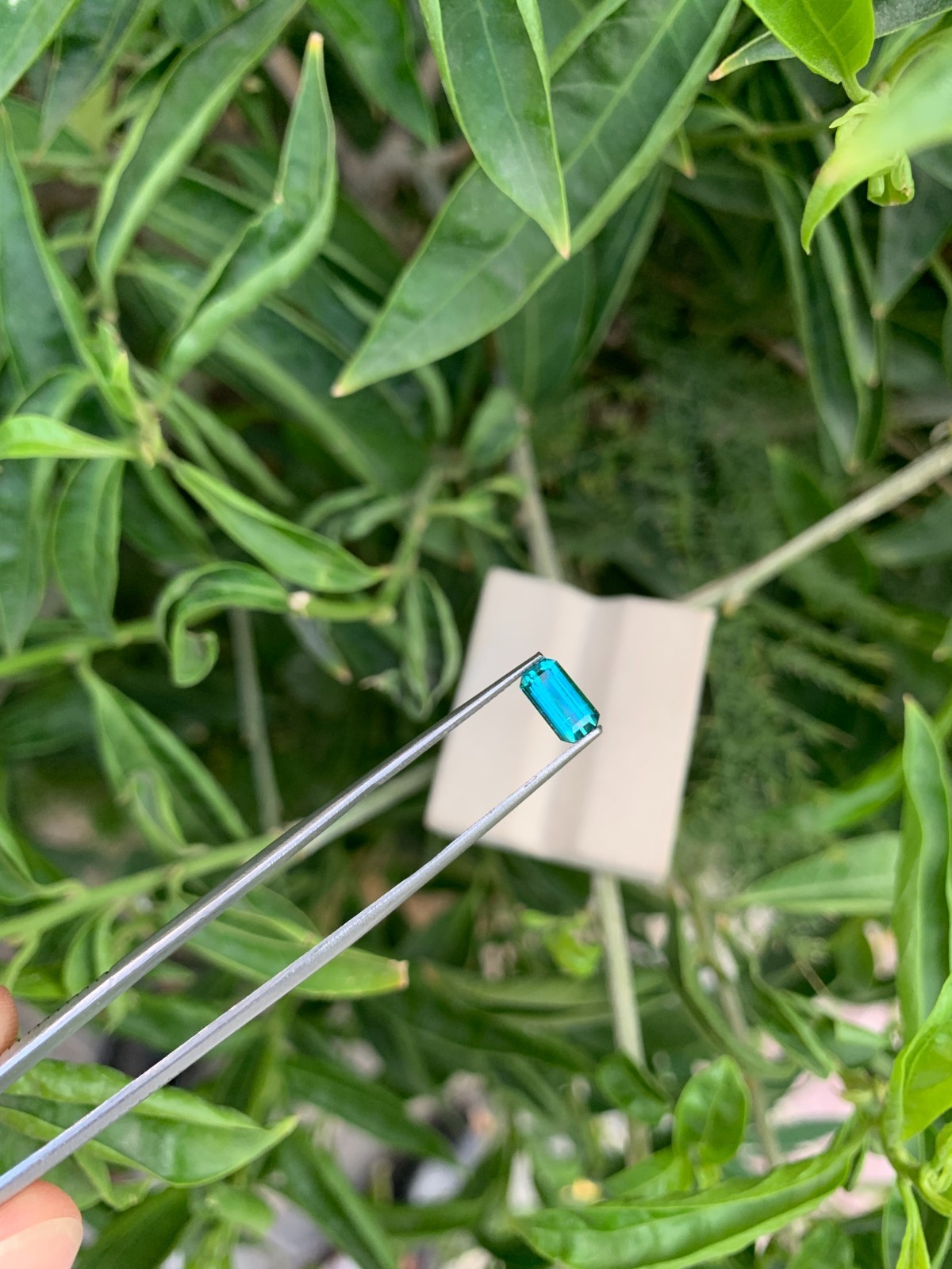0.98 Ct Natural Lagoon Tourmaline Emerald Cut Faceted Loose Gemstone Afghanistan