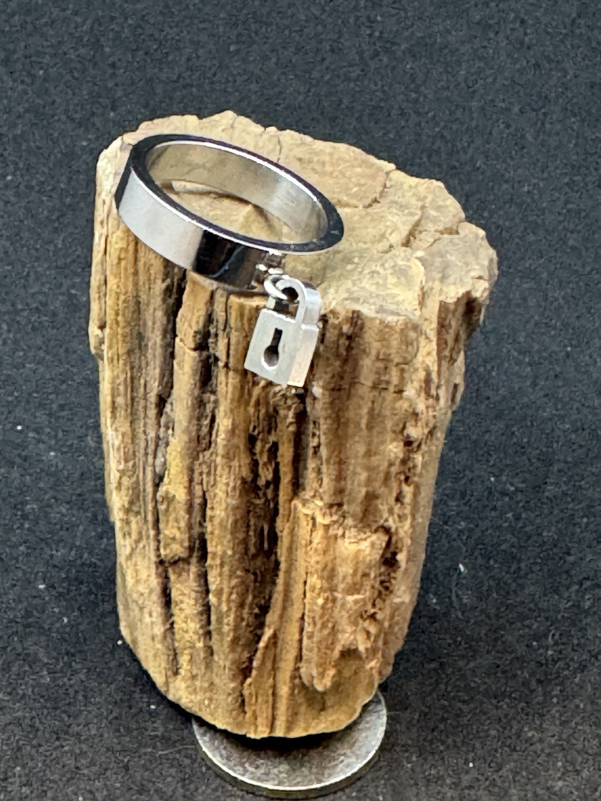 Lock Dangle Charm Ring Stainless Steel 6mm Band Width