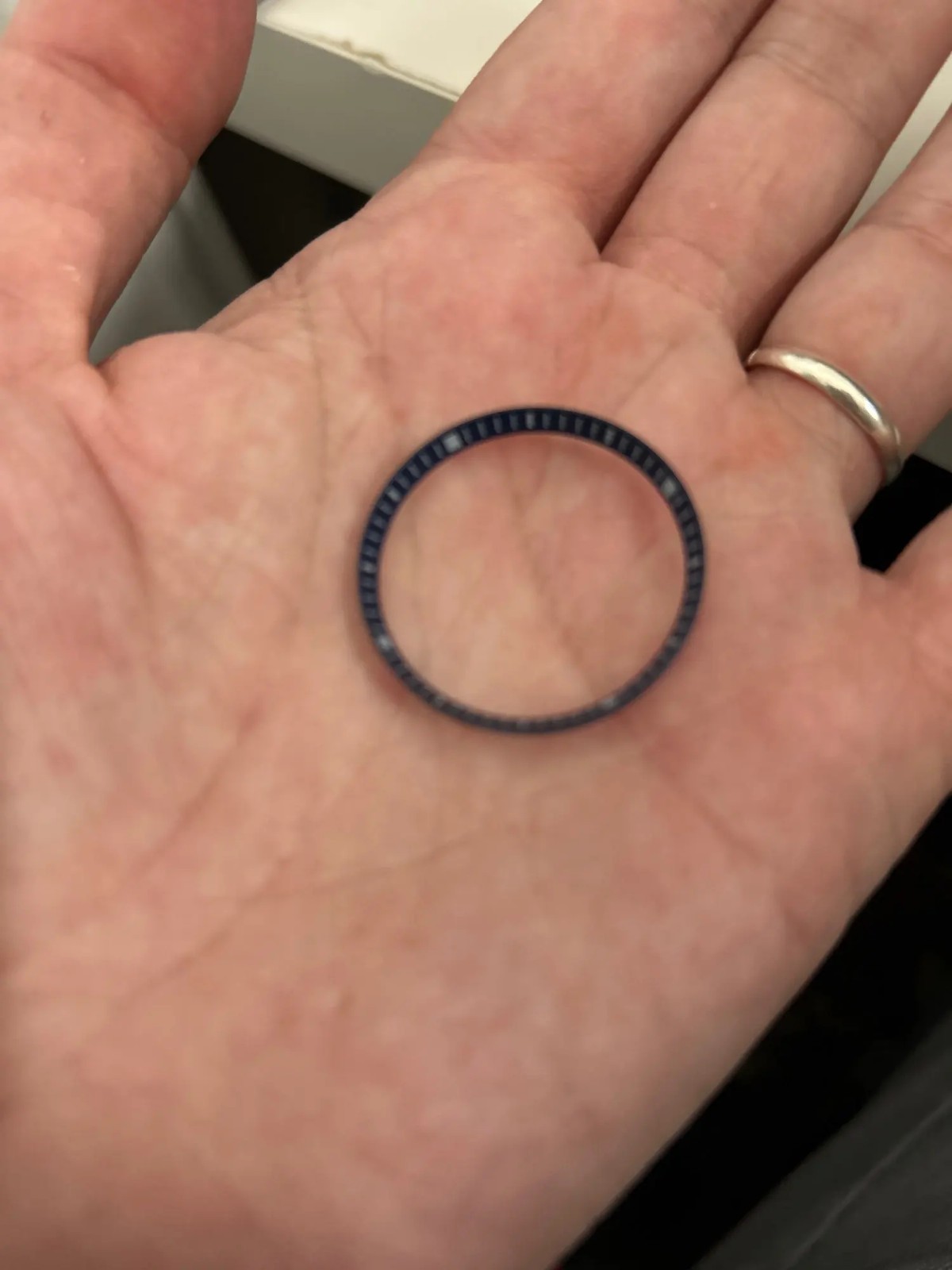 Mod Chapter Ring Case Replace Plastic Inner Ring 30.5mm For NH35 NH36 SKX007