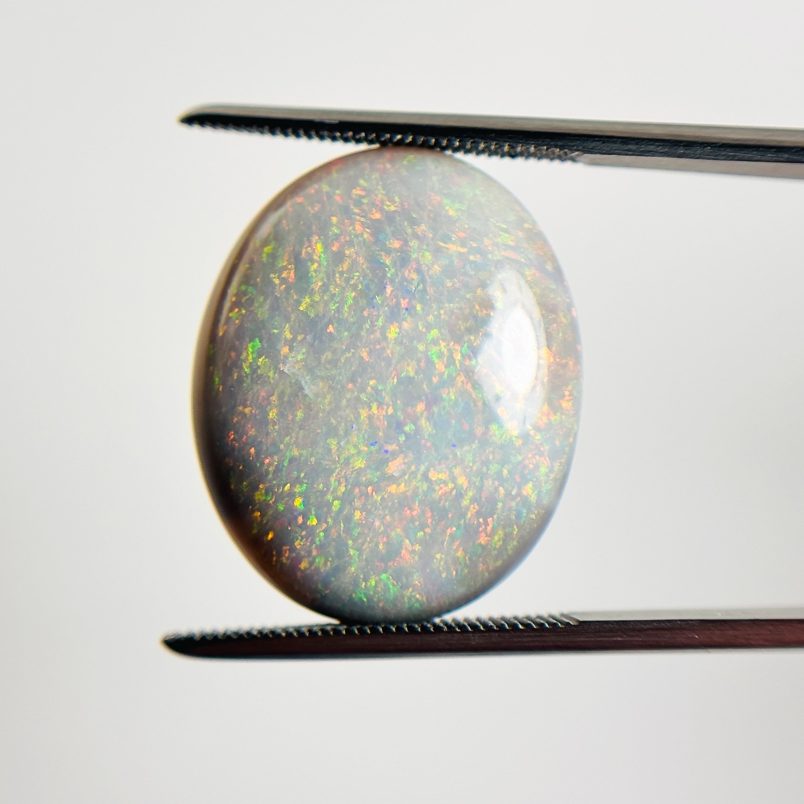 Semi Black Opal Multicolour 21x17x5.5 Cabochon Oval 11.90 Carat OPAL115