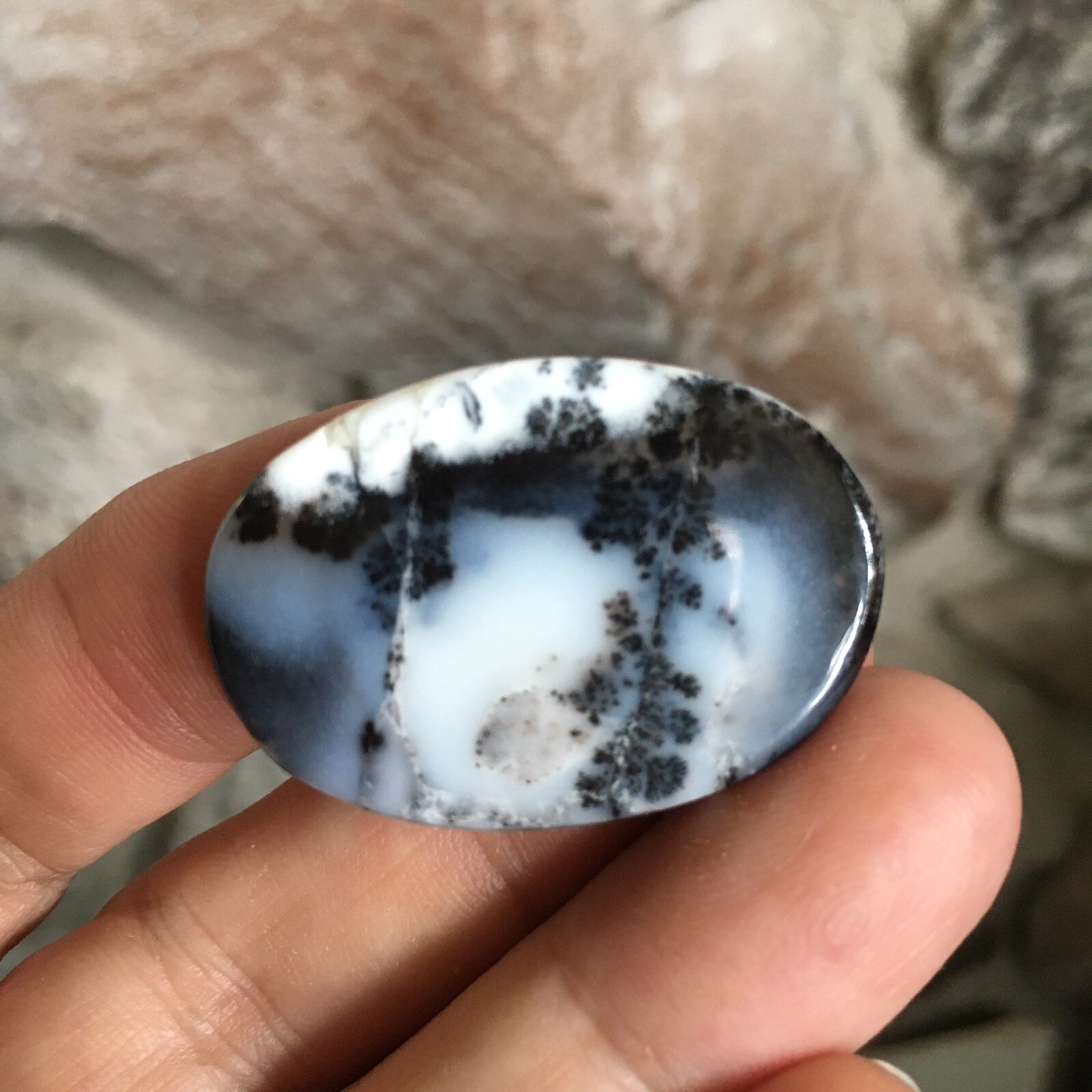 35x24x6mm Picture Like Dendrite Opal Oval Cabochon Loose Gemstone