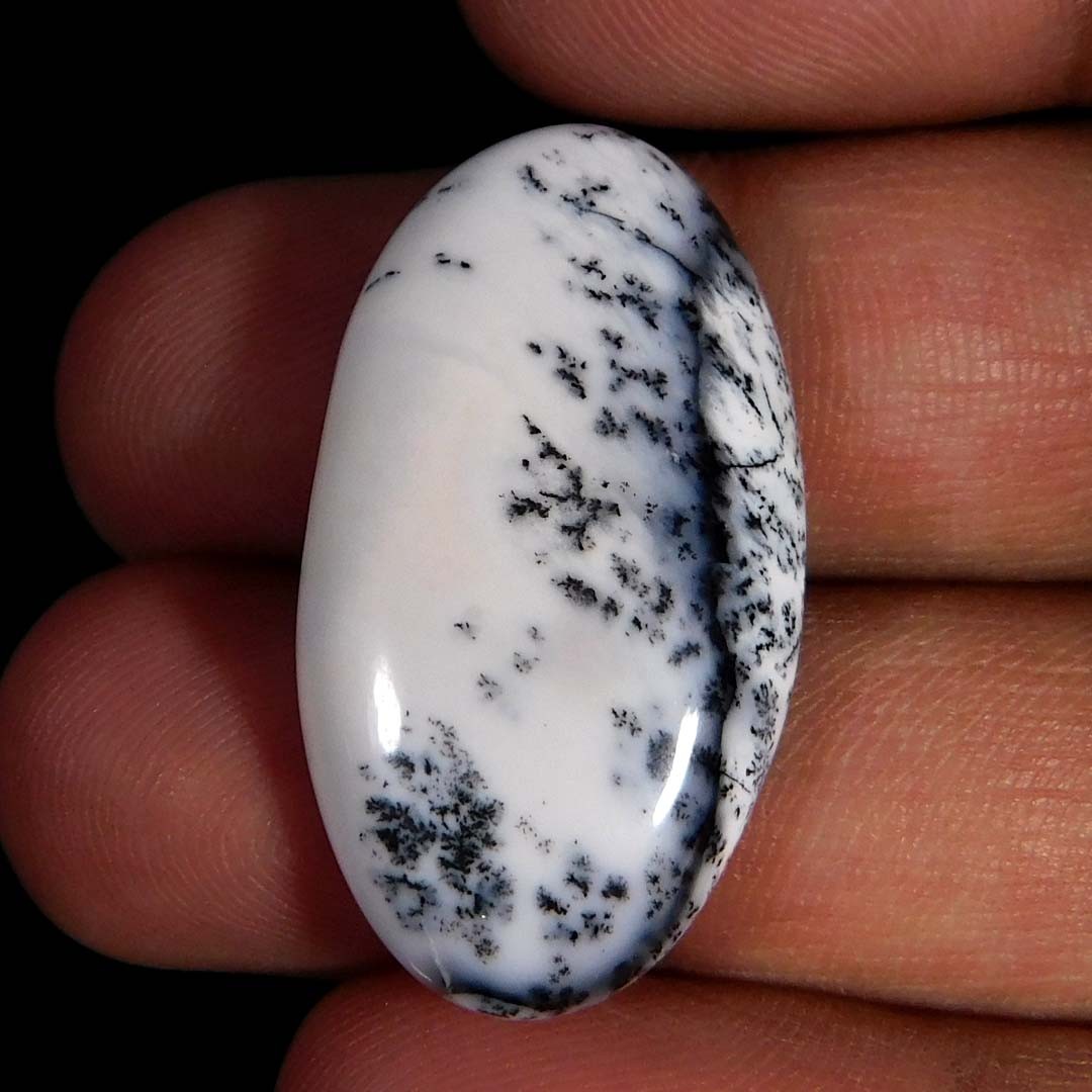 24.55Cts. Natural Gorgeous Dendritic Opal Oval Cabochon Reiki Healing Gemstone