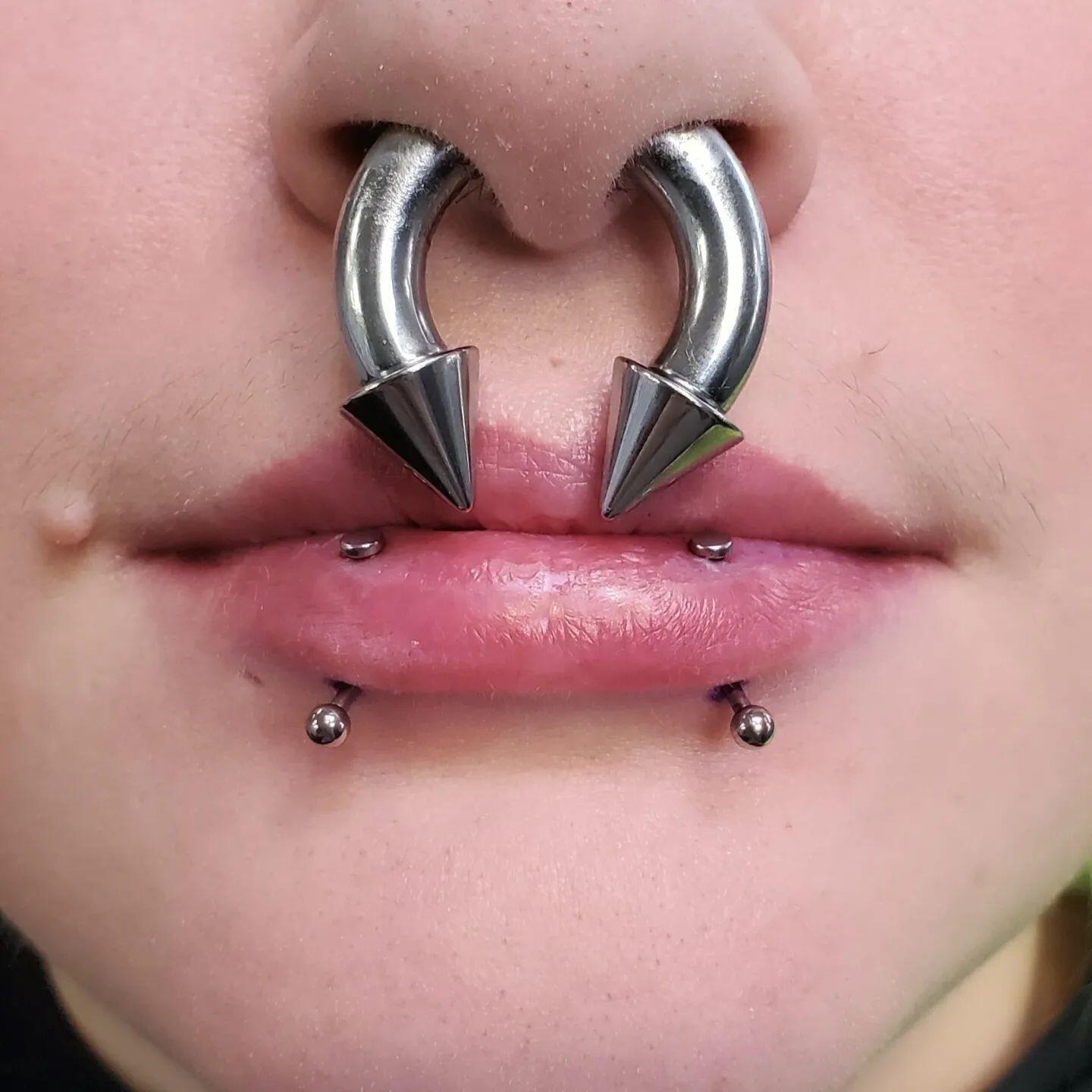 2Pcs Stainless Steel Spike Circular Barbells Large Septum Ring Ear Gauge Earring
