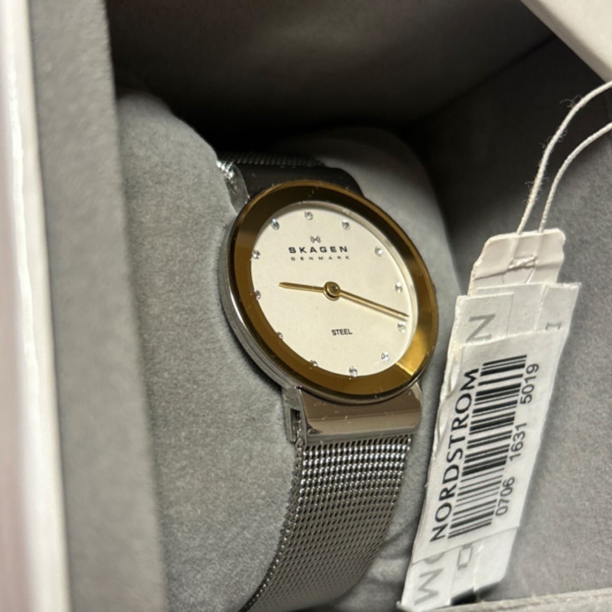 Skagen Silver Watch