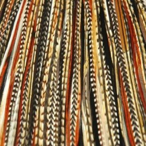 Feather Hair Extension 8-12 Black with Browns & Beige Quality Salon Feathers for
