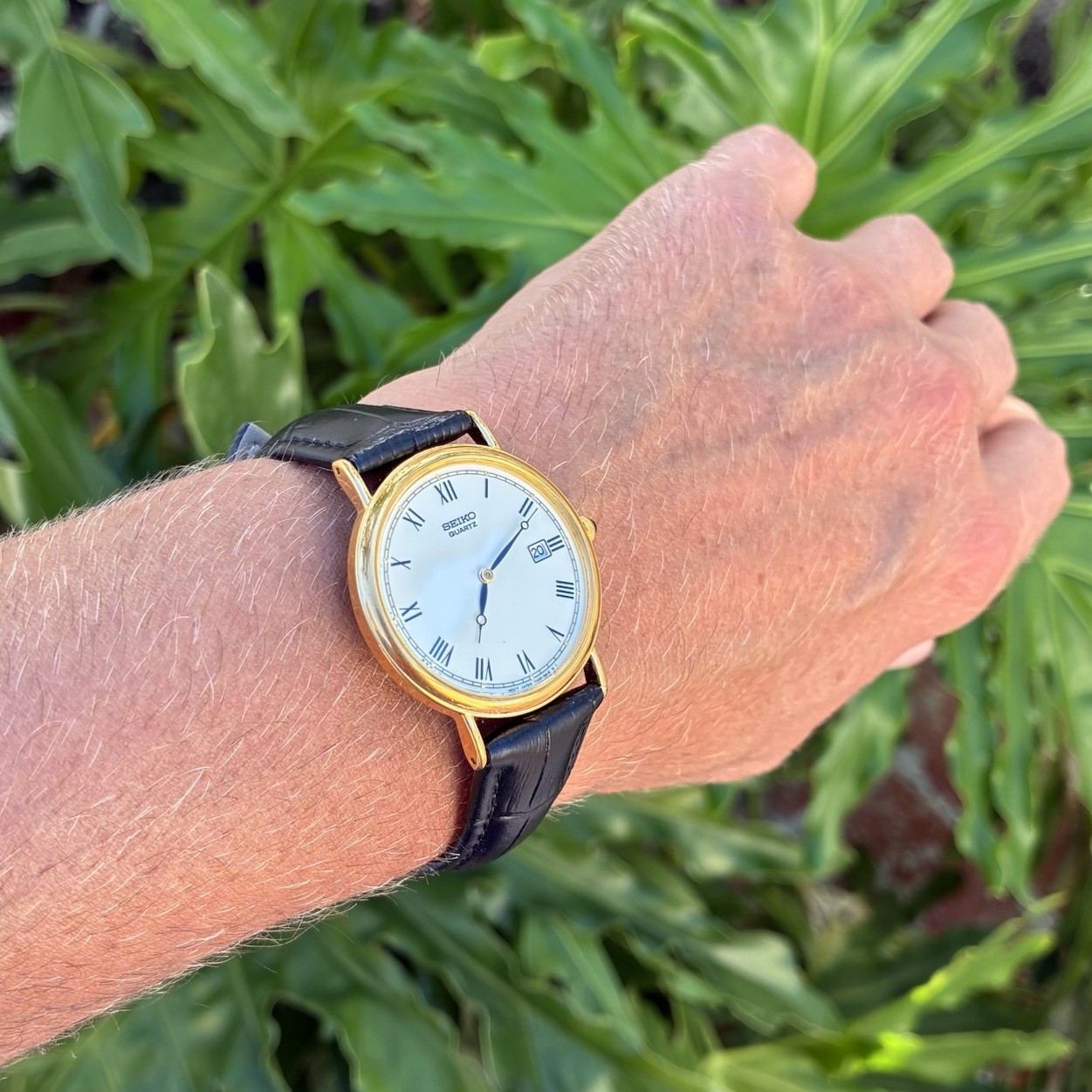 BEAUTIFUL Seiko Men’s Classic Dress Watch