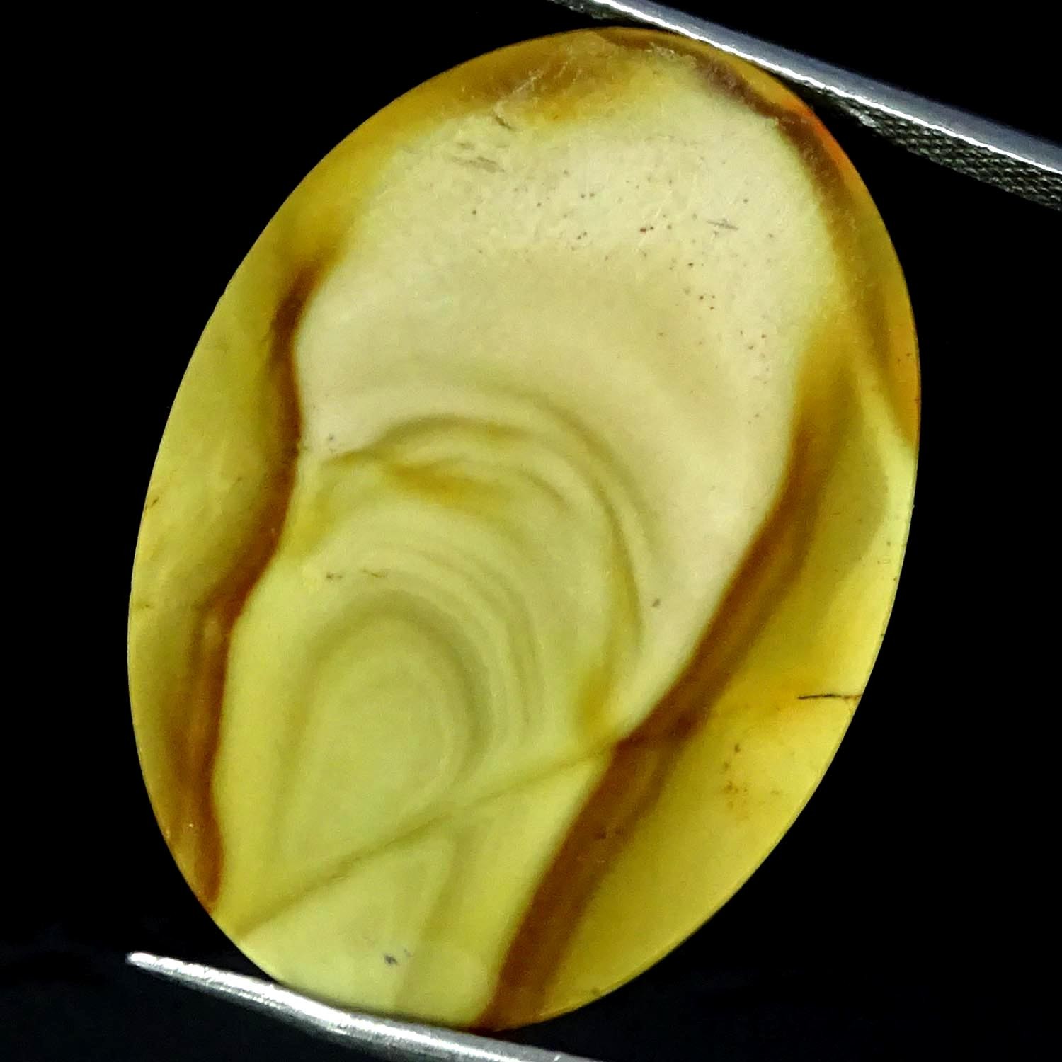 20.50Cts 100% Natural Polygram Jasper Oval Cabochon Gemstone 23X33X3MM