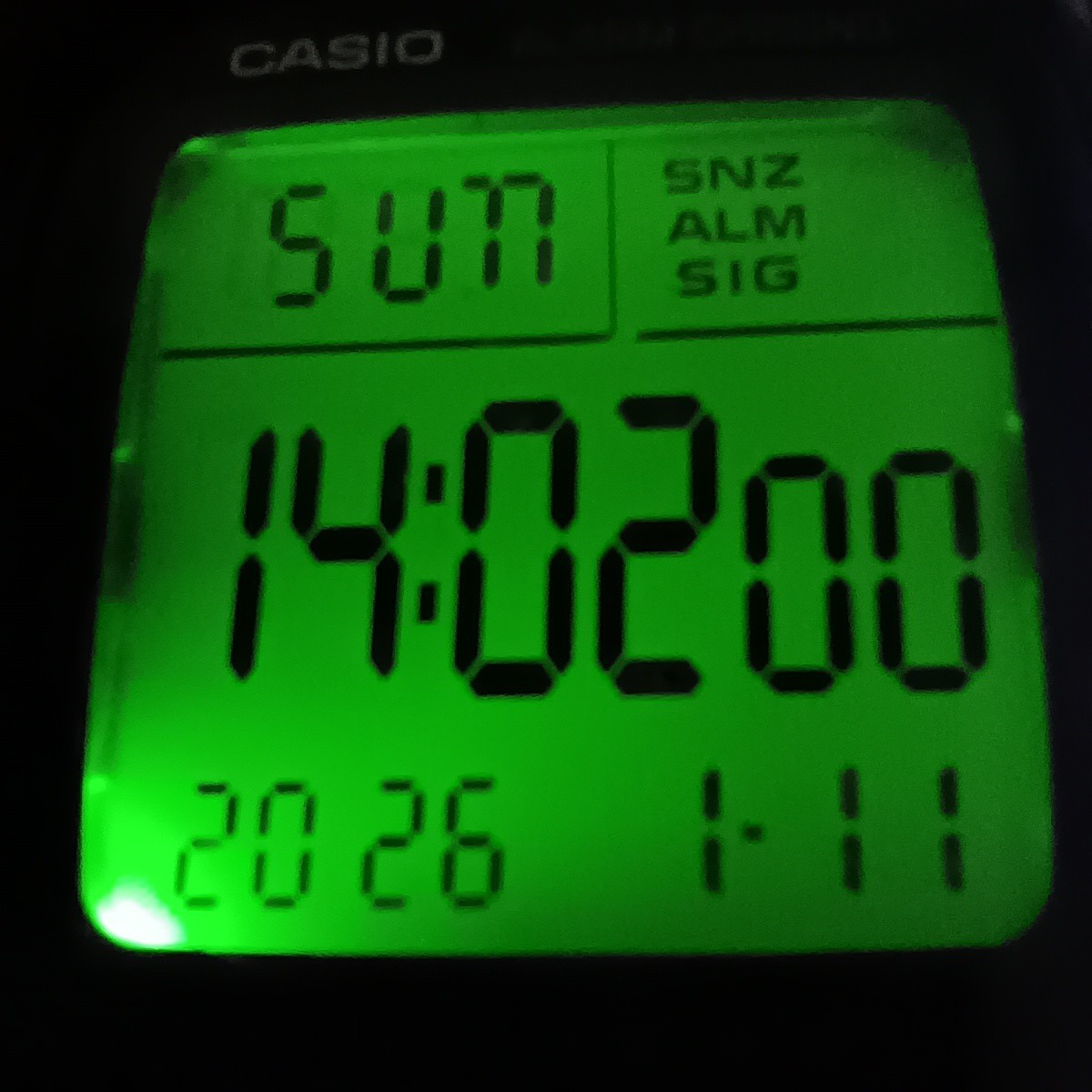 Casio Illuminator Men’s Black Digital Alarm Chronograph 50m 3239 W-96H New Strap