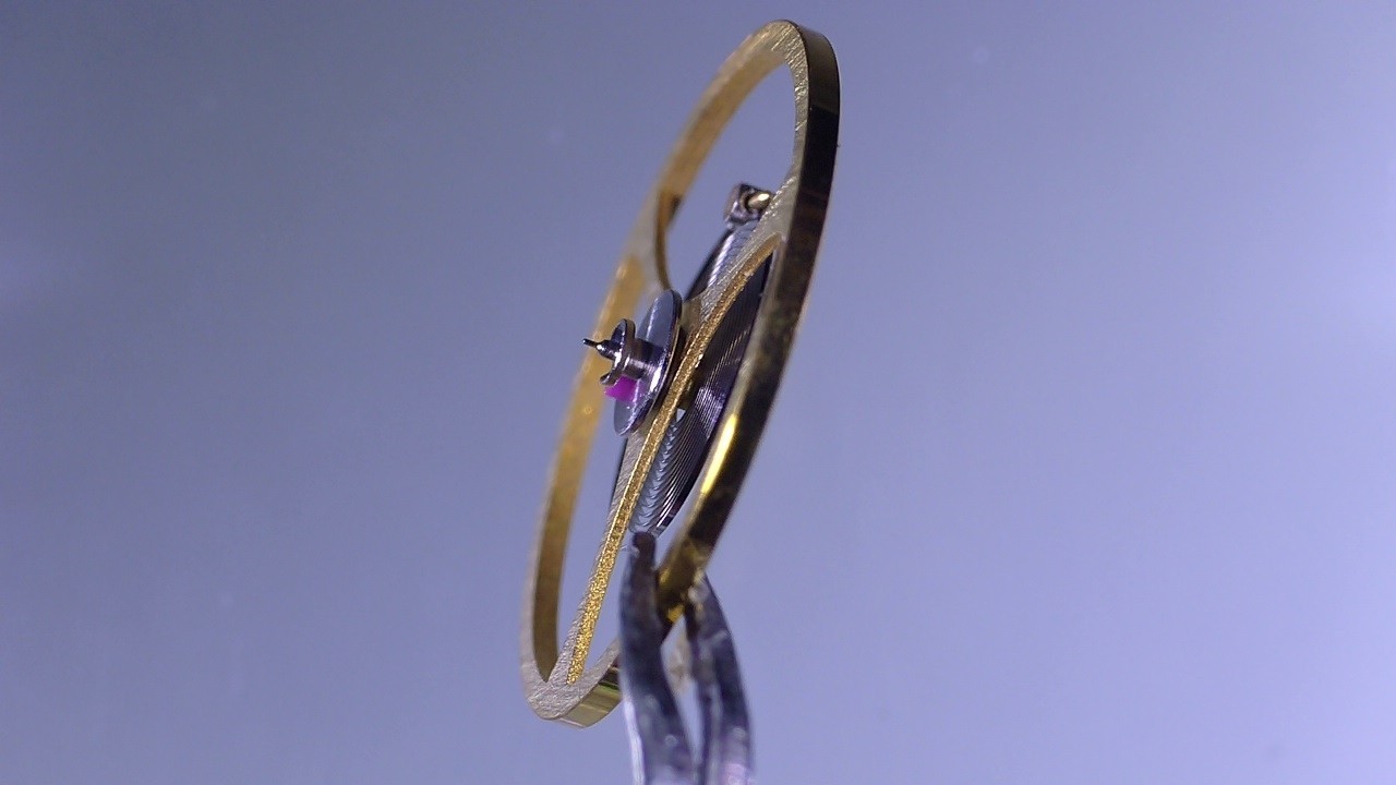 Complete Watch Balance Wheel ETA 7001 7011 7014 21600 Alt 721