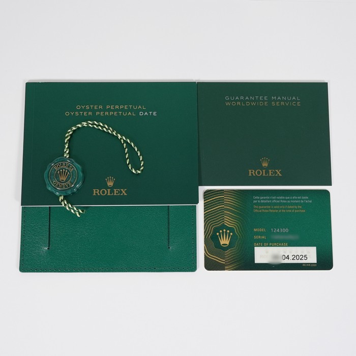 ROLEX Oyster Perpetual 41 124300 Black Warranty 2025 Box/Paper