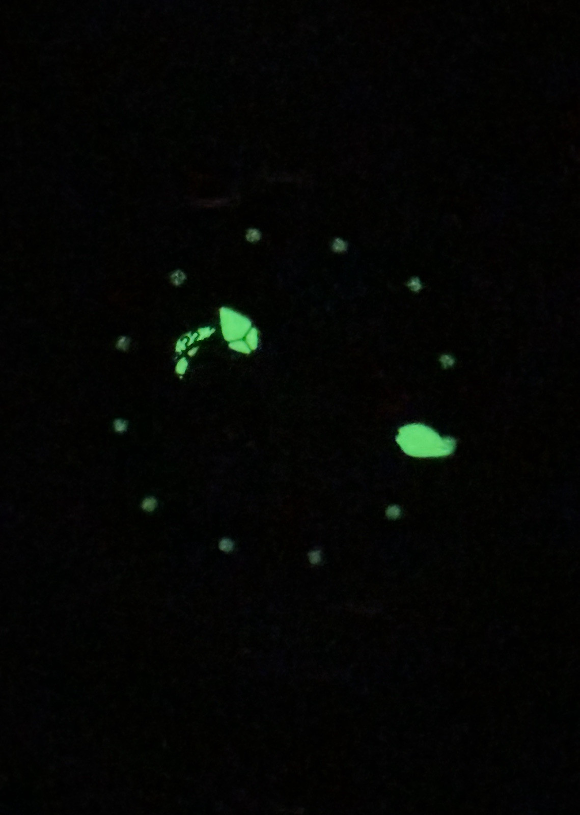 DIETRICH OT-1 ORGANIC TIME 47mm *FULL SET!*