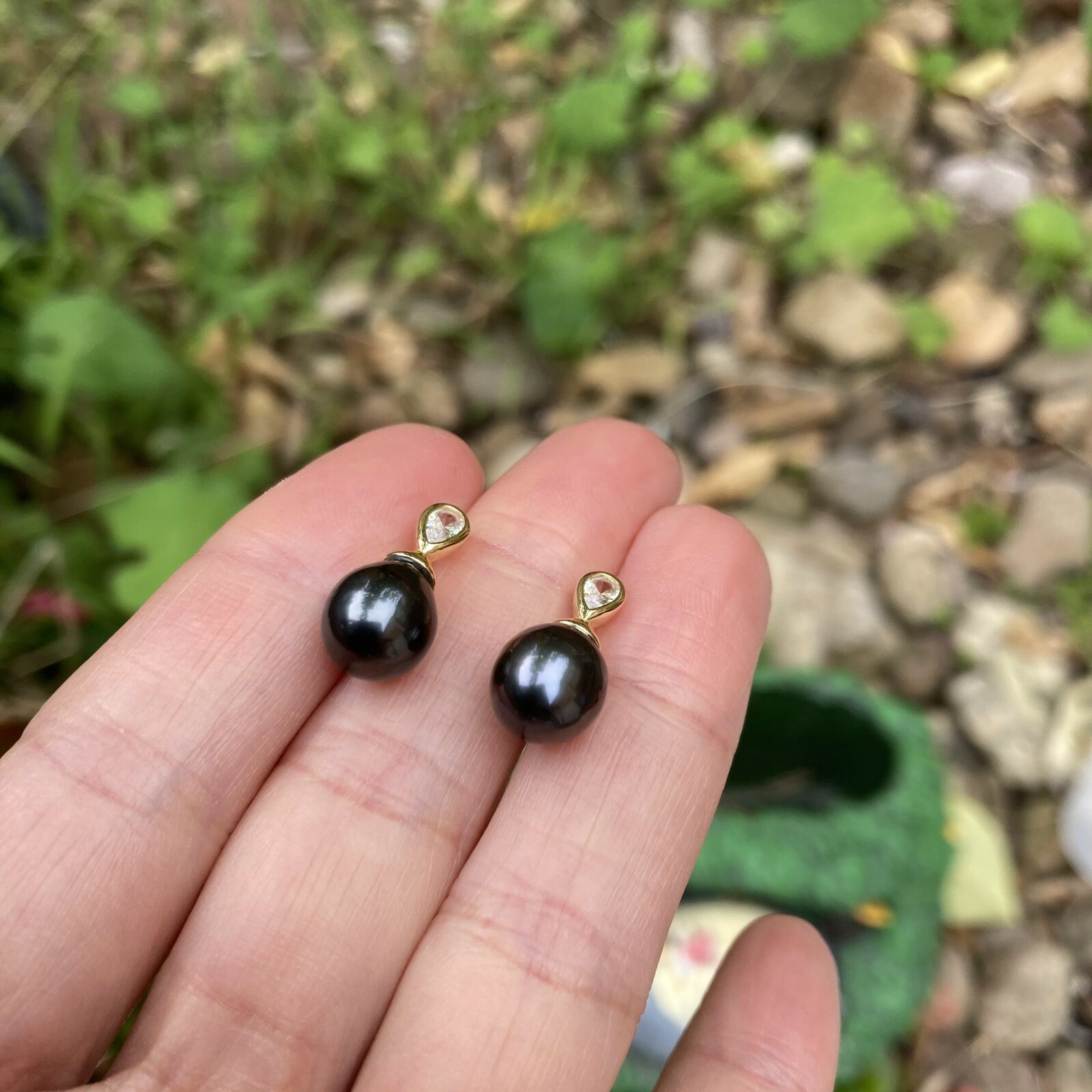 High luster Black Tahitian Pearl sterling Silver S925 Gold Earring stud TH185