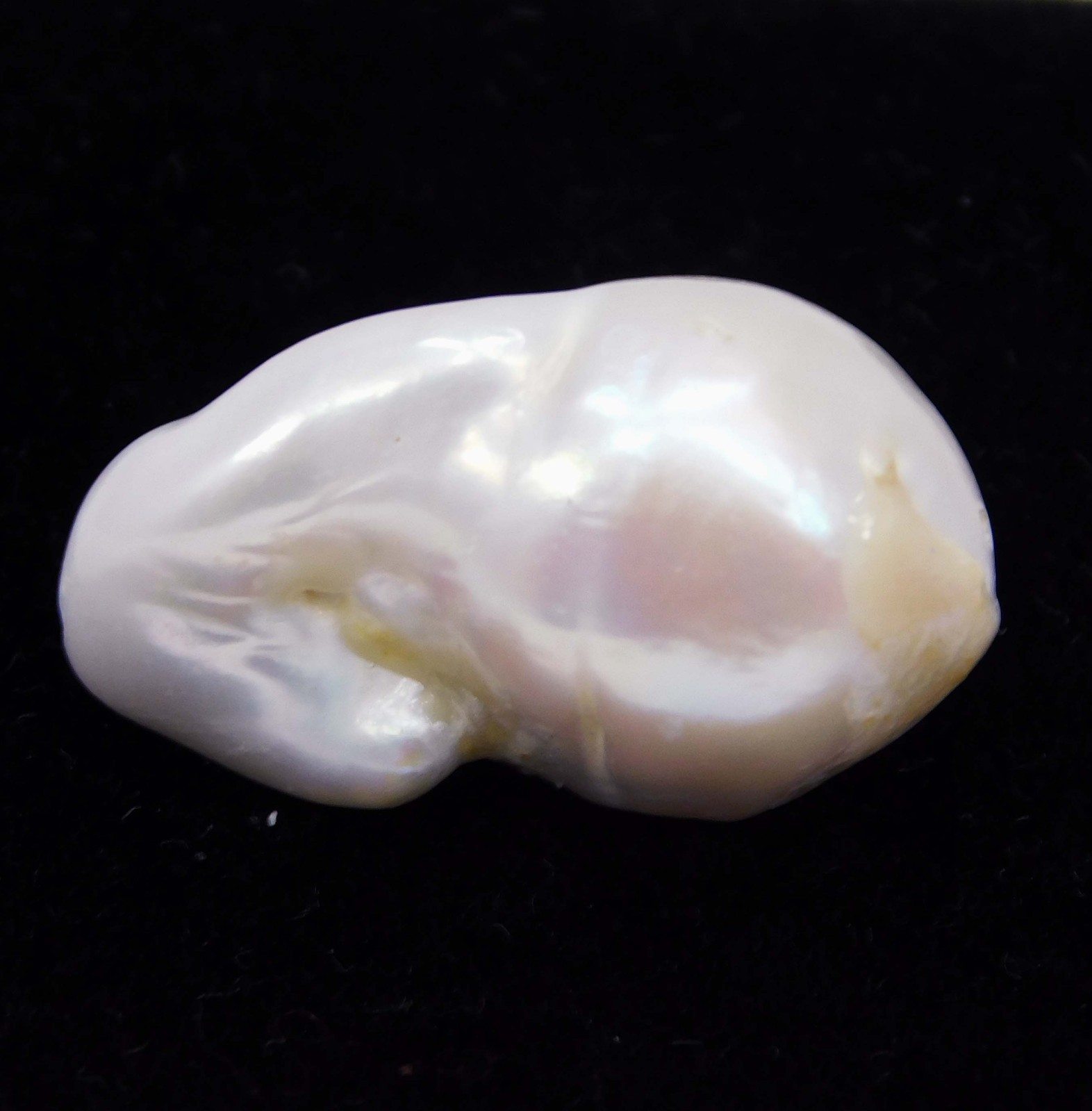 26.30 Ct Natural Baroque Pearl 23.8×13.5×13.8mm Genuine Loose White Cream Moti