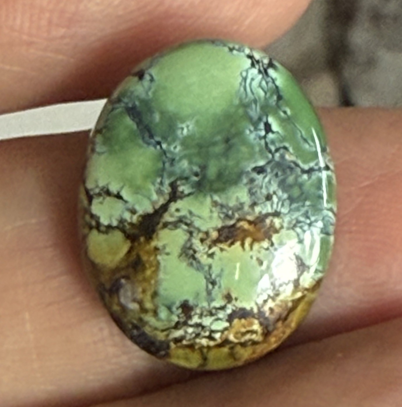 14.10ct 18.7c14.7×6.5mm Green Qingu Mine Turquoise Oval Cabochon Backed Stone