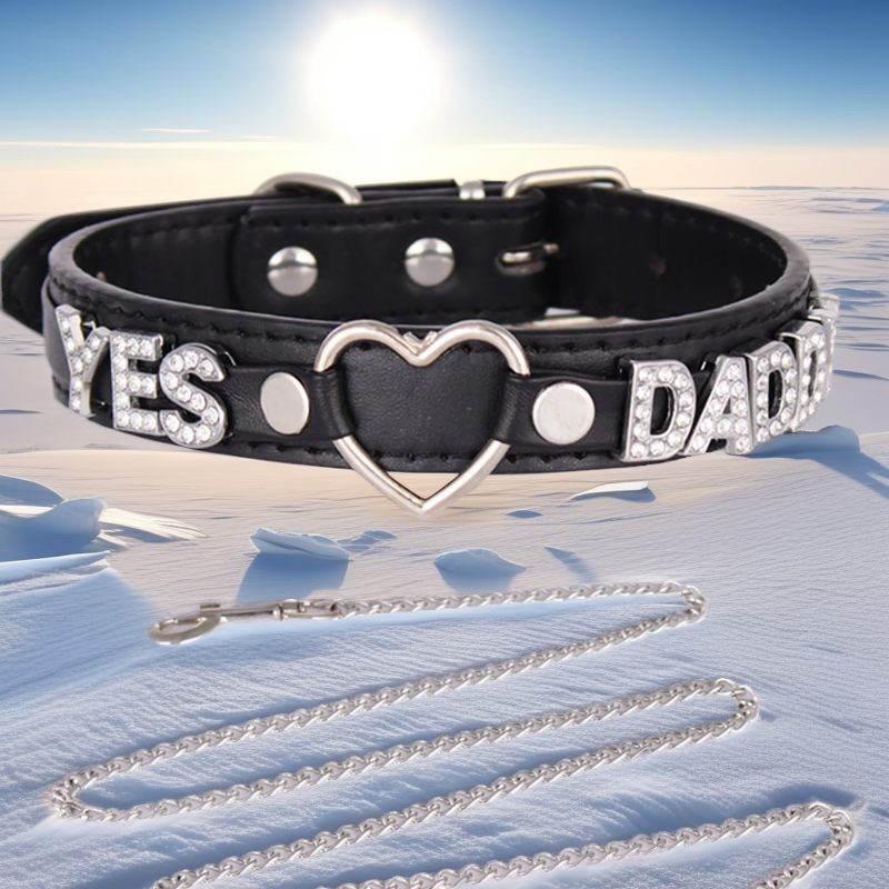 SEX WIFE Choker DIY BDSM Gift Necklace Heart Custom Collar Chain Metal Leash J4