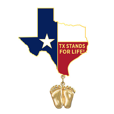 Precious Feet, 14K Gold Plated, Texas Flag Jewelry, Lapel Pin
