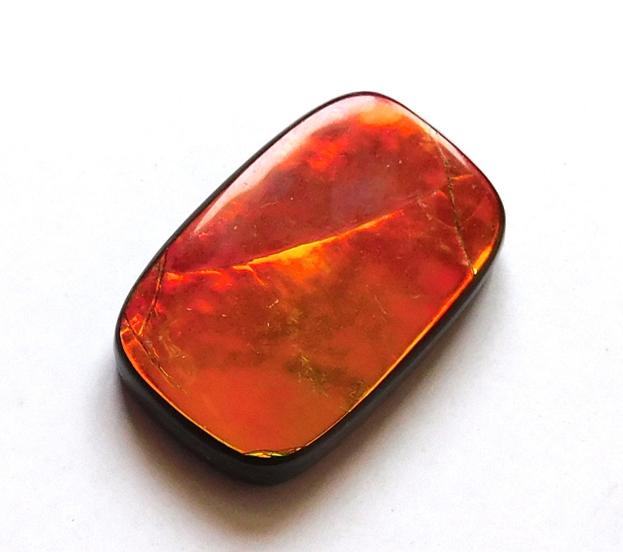 13.45 Ct Natural Canadian Ammolite Cabochon Loose Gemstone 20.6X13.2X4MM LT12