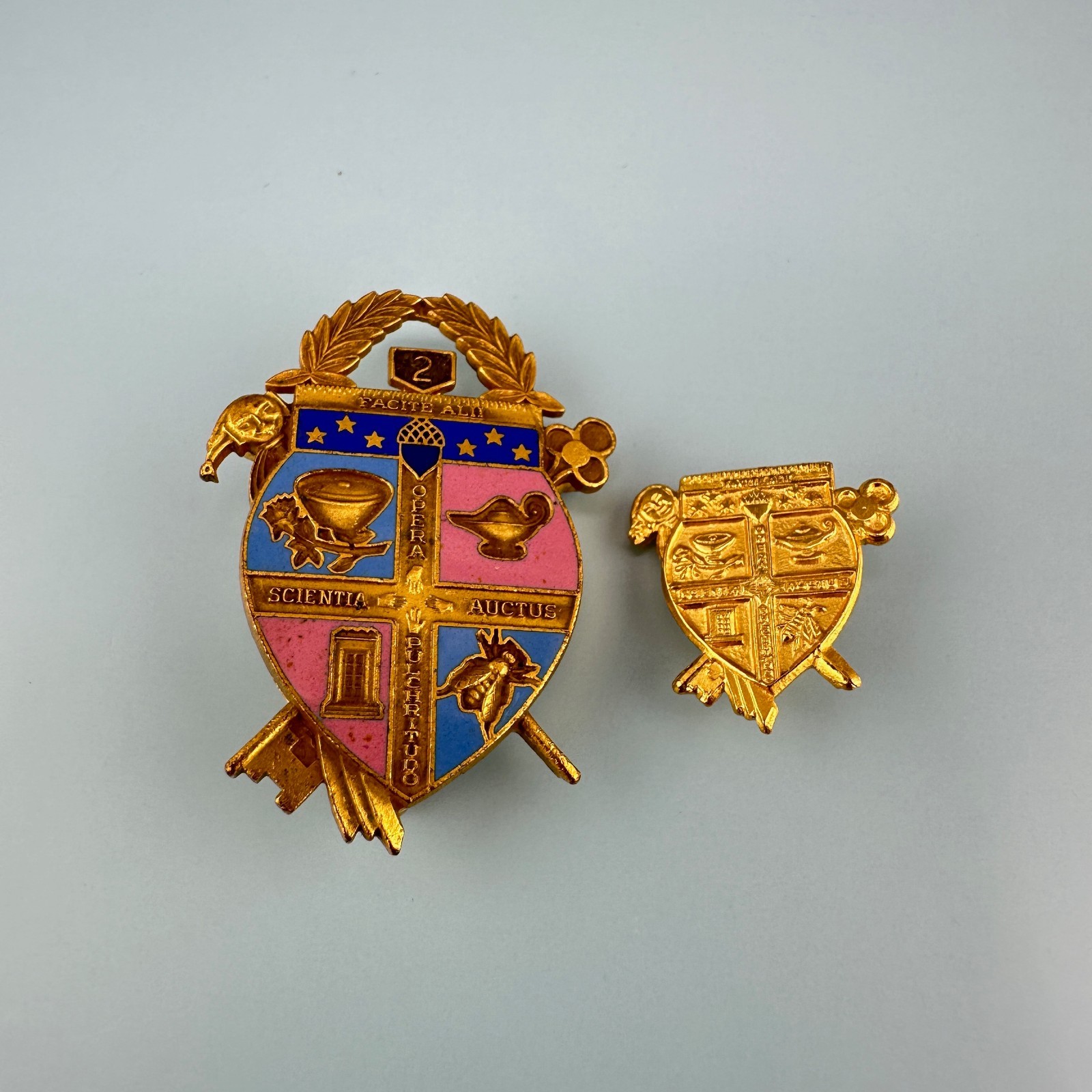 Vintage Coat of Arms Pin Lot Gold Tone Facital Scientia Auctus Opera Pulchritudo
