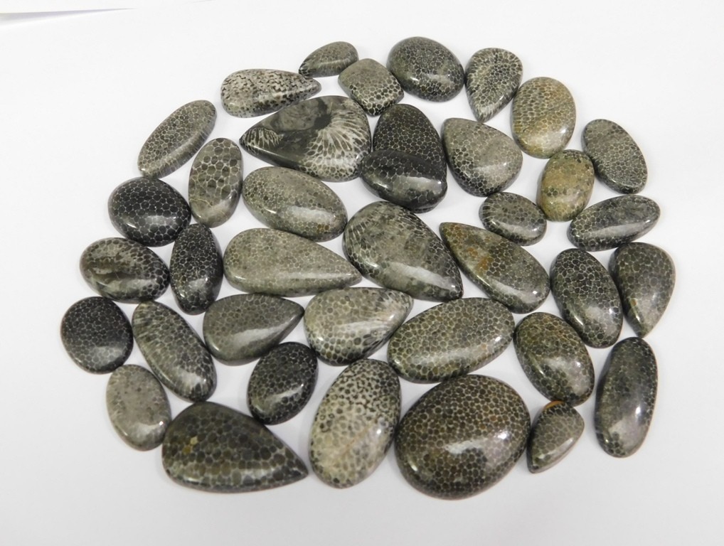 Natural Black Fossil Gemstone Cabochon, Best For Unique Jewelry Creation 71302