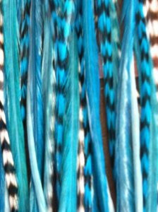 Feather Hair Extension 5 Genuine 8-10 Tourqoise Feathers for Hair Extension (One