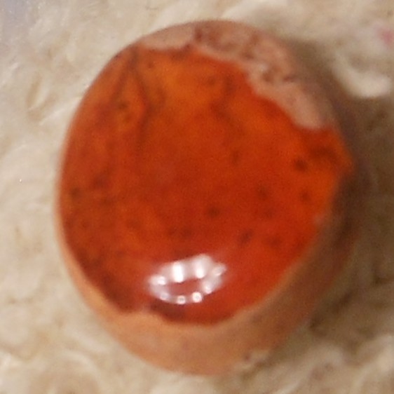 1.55ct Mexican Fire Opal Freeform 9.6 x 8.7mm Pop It in the Cart Sale