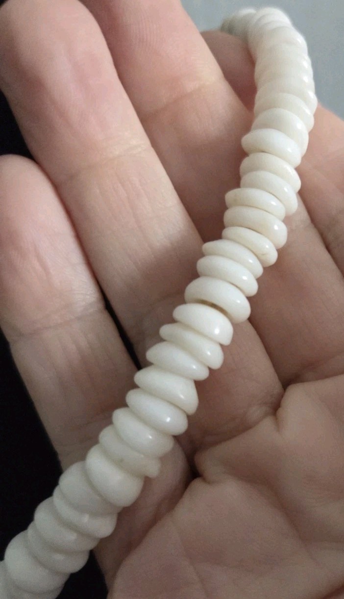 Vintage Genuine Puka Shell Necklace 19″ graduated size 8-10mm shells 83 grams