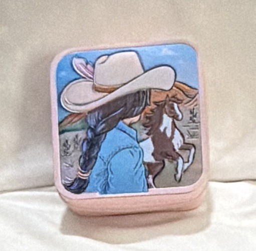 Pink Faux Leather Zipper Jewelry Box w/ Mirror, Velvet Lined, Cowgirl Western