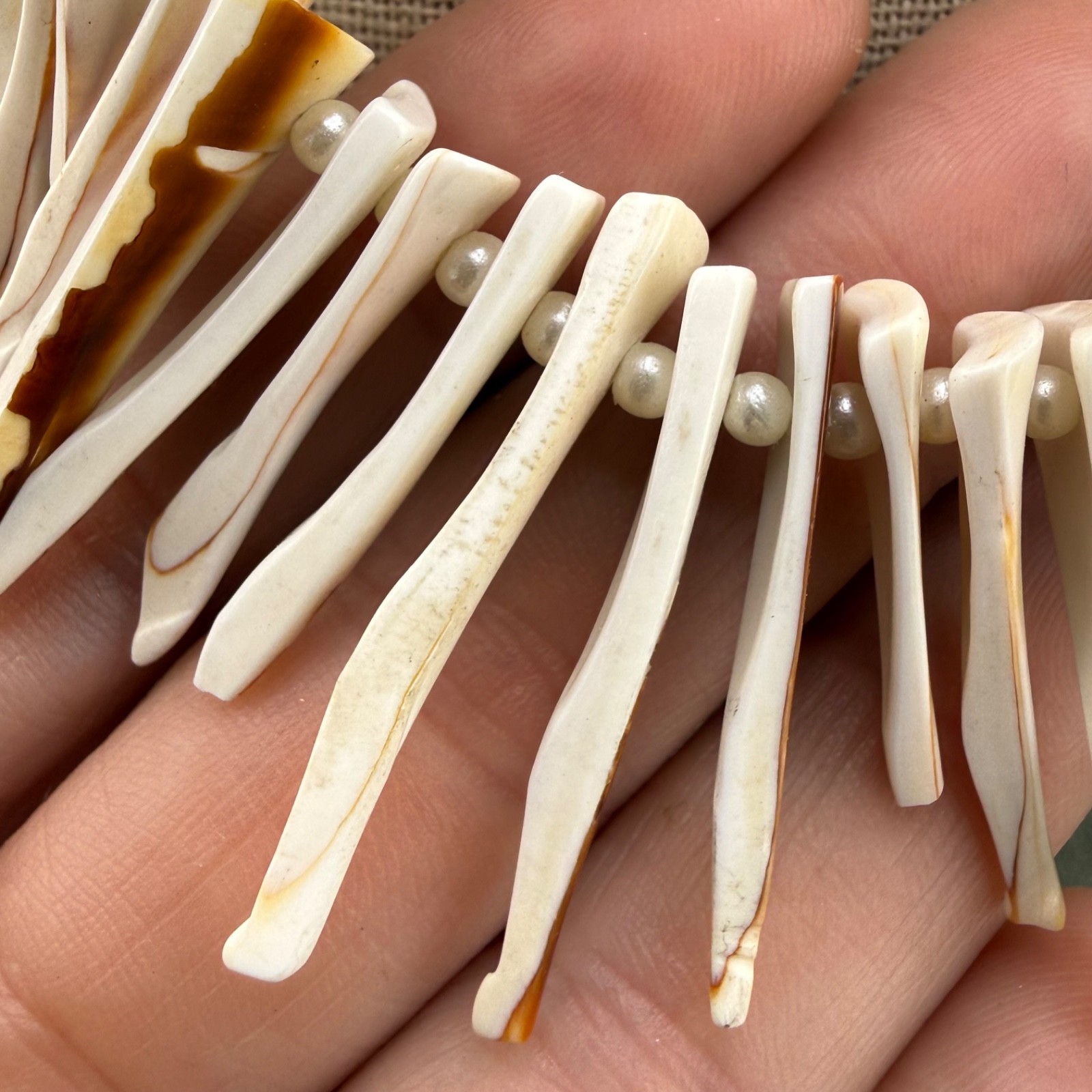 Vintage Shell Necklace Surfer Beach 18”