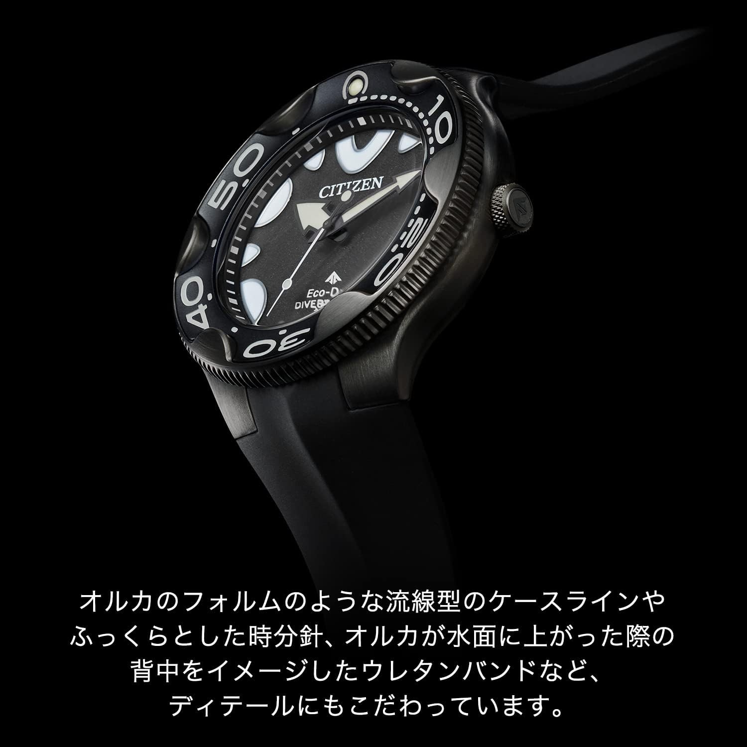New Citizen BN0235-01E PROMASTER Mens Watch 200m Black Solar Japan