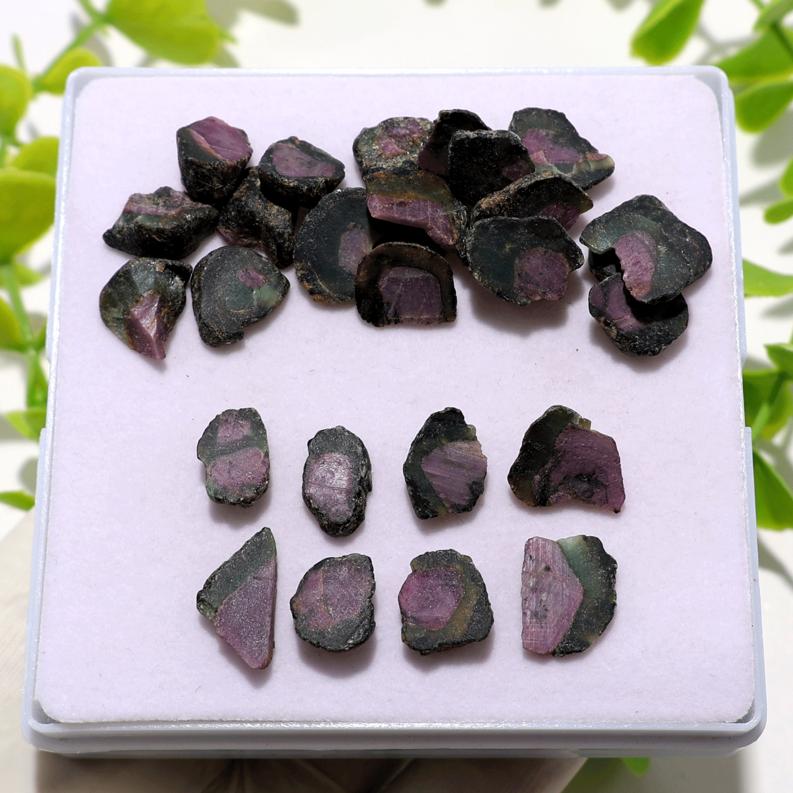 27 PC Natural Watermelon Ruby Untreated 11.5mm-17.4mm Rough Loose Gemstones Lot