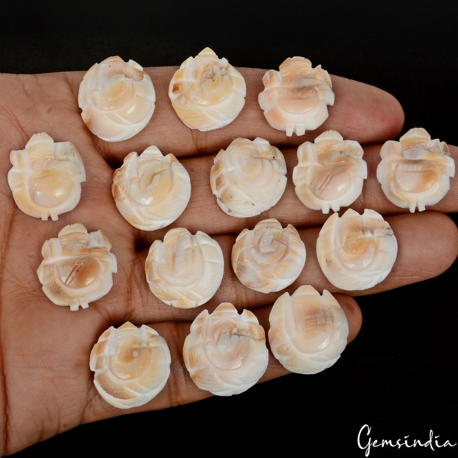 200 Cts/15 Pcs Natural Untreated Gomti Chakra Carved Ganesha Loose Gems Lot