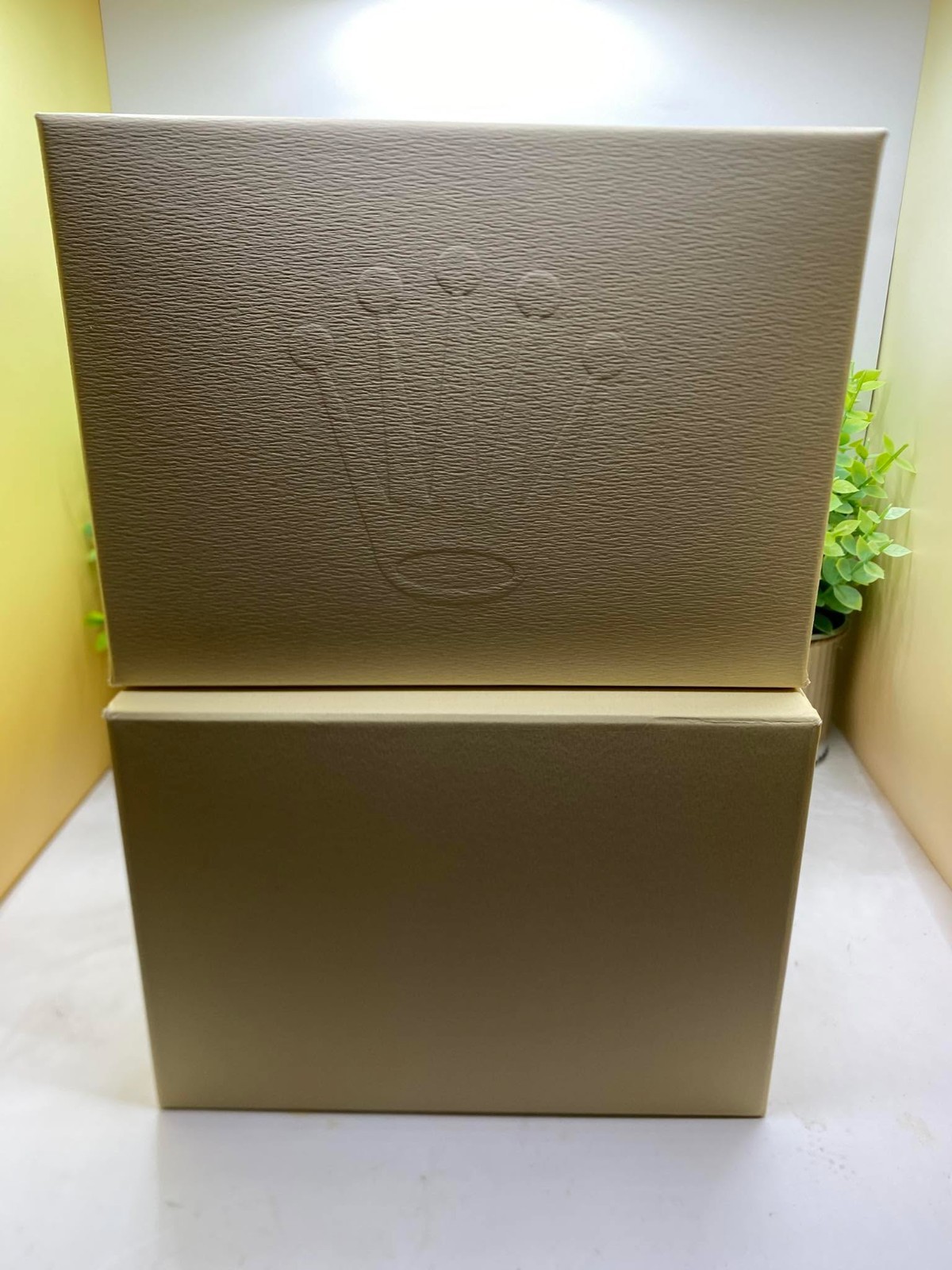 Rolex Outer Box Only Cream/White for Watch Box