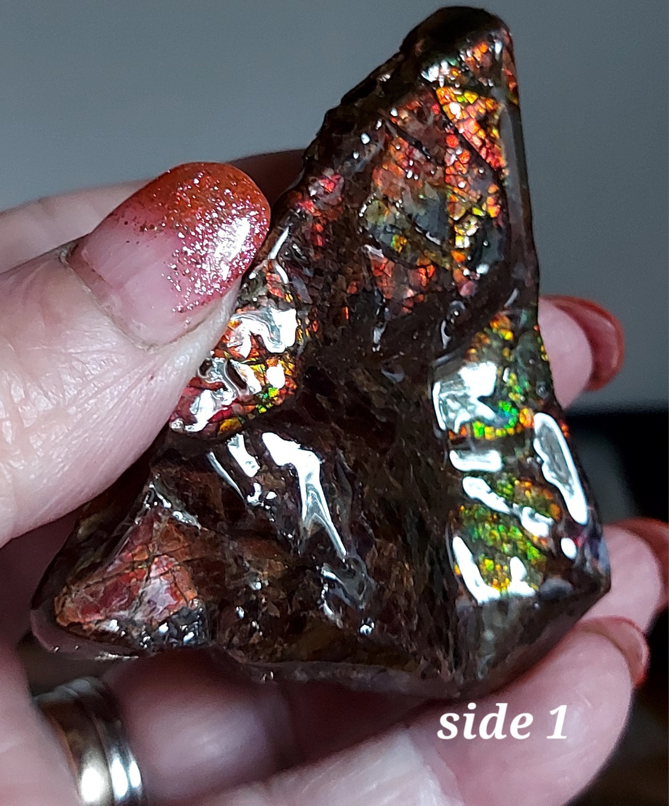 Ammolite Ammonite tabletop Display Piece Fossil Edge Piece 69x53x29.7mm 5179